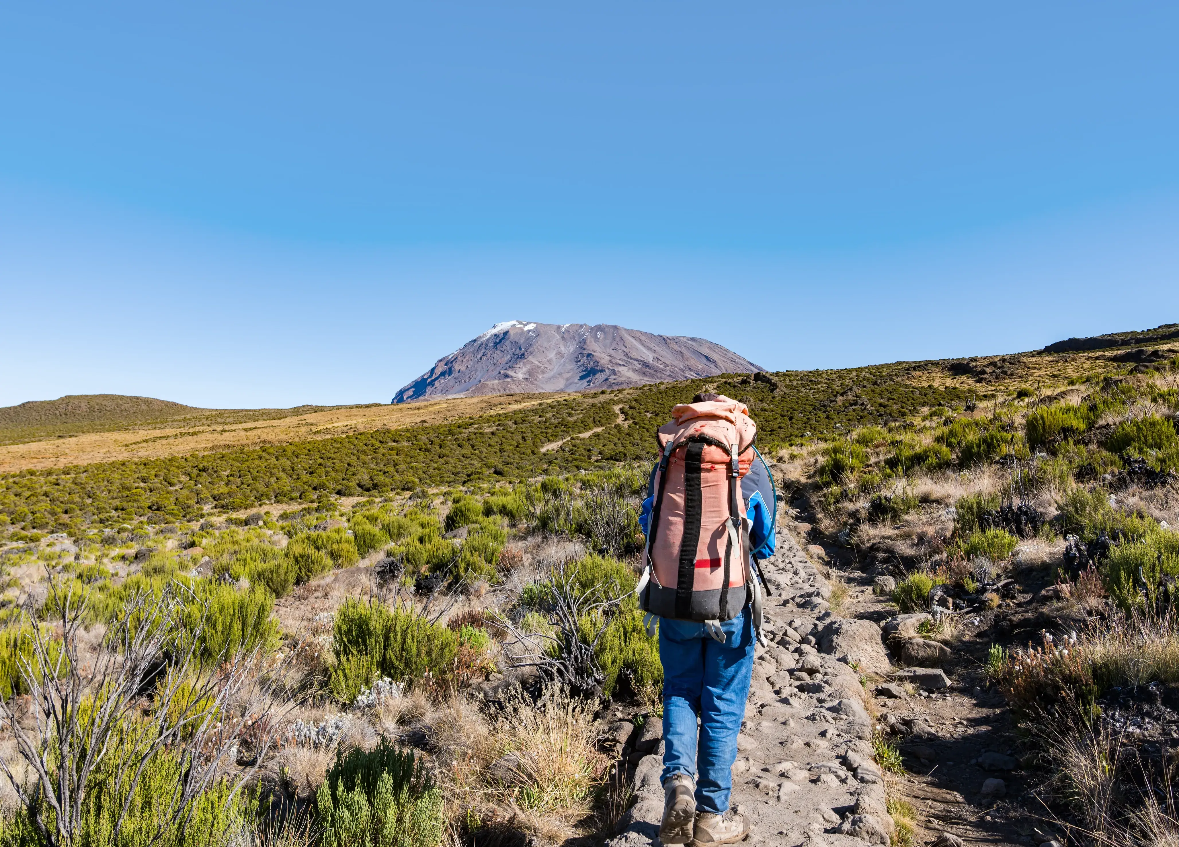 Mount Kilimanjaro Climbing