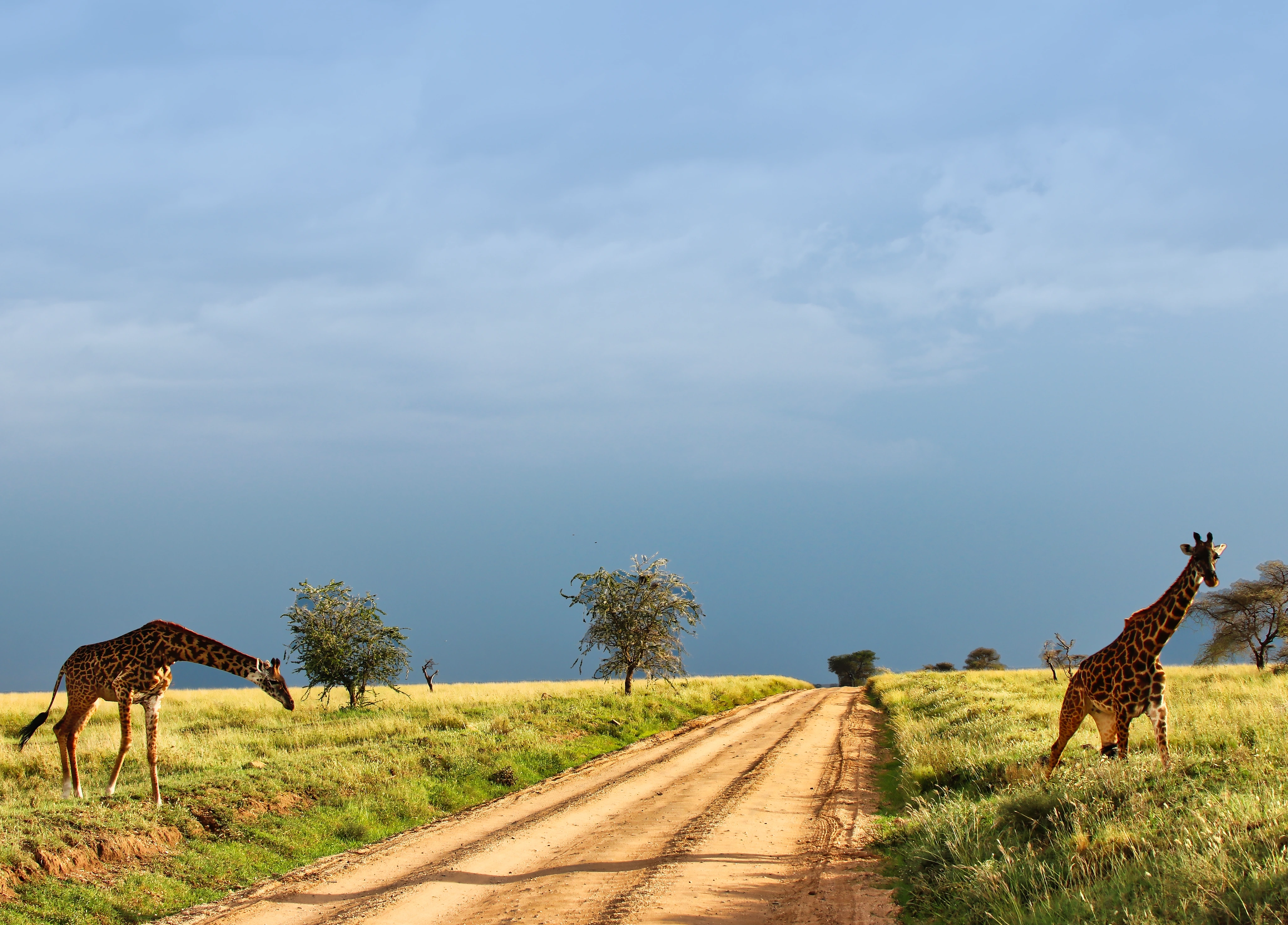 Ngorongoro Conservation Area