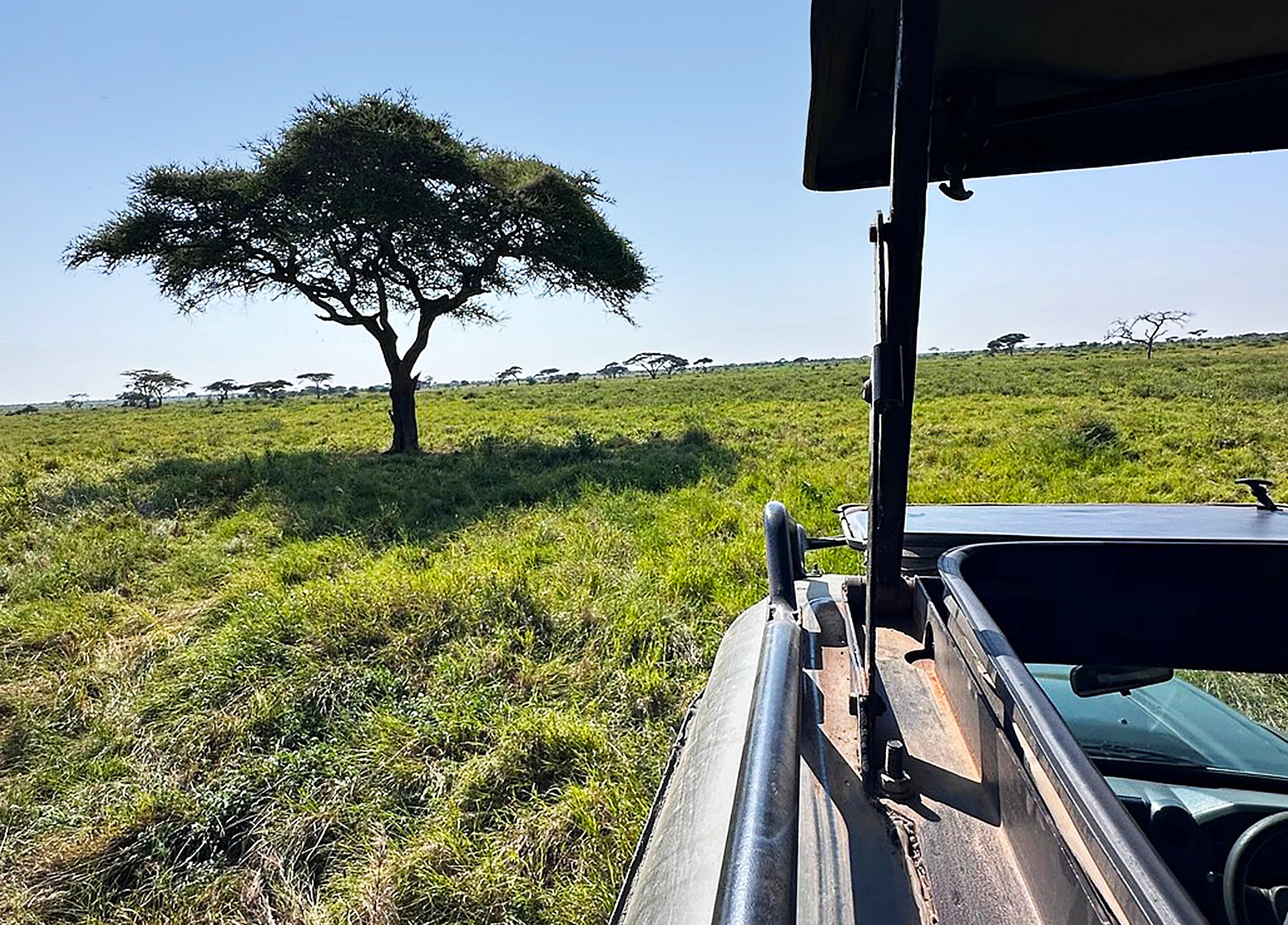 Our Tanzania Safari Fleet