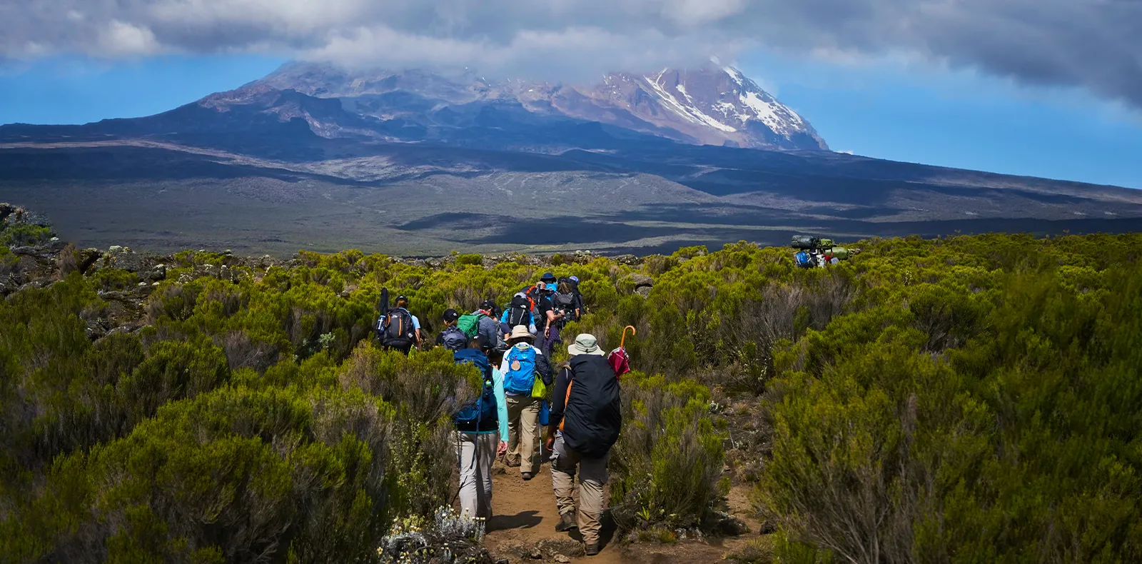 8 Days Lemosho Route