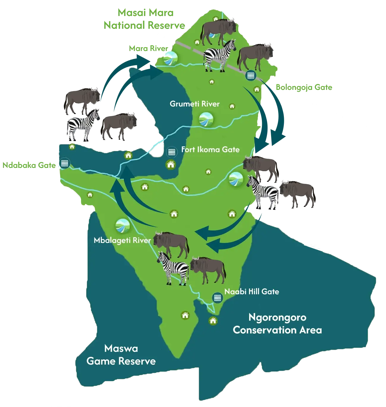 Serengeti National Parks
