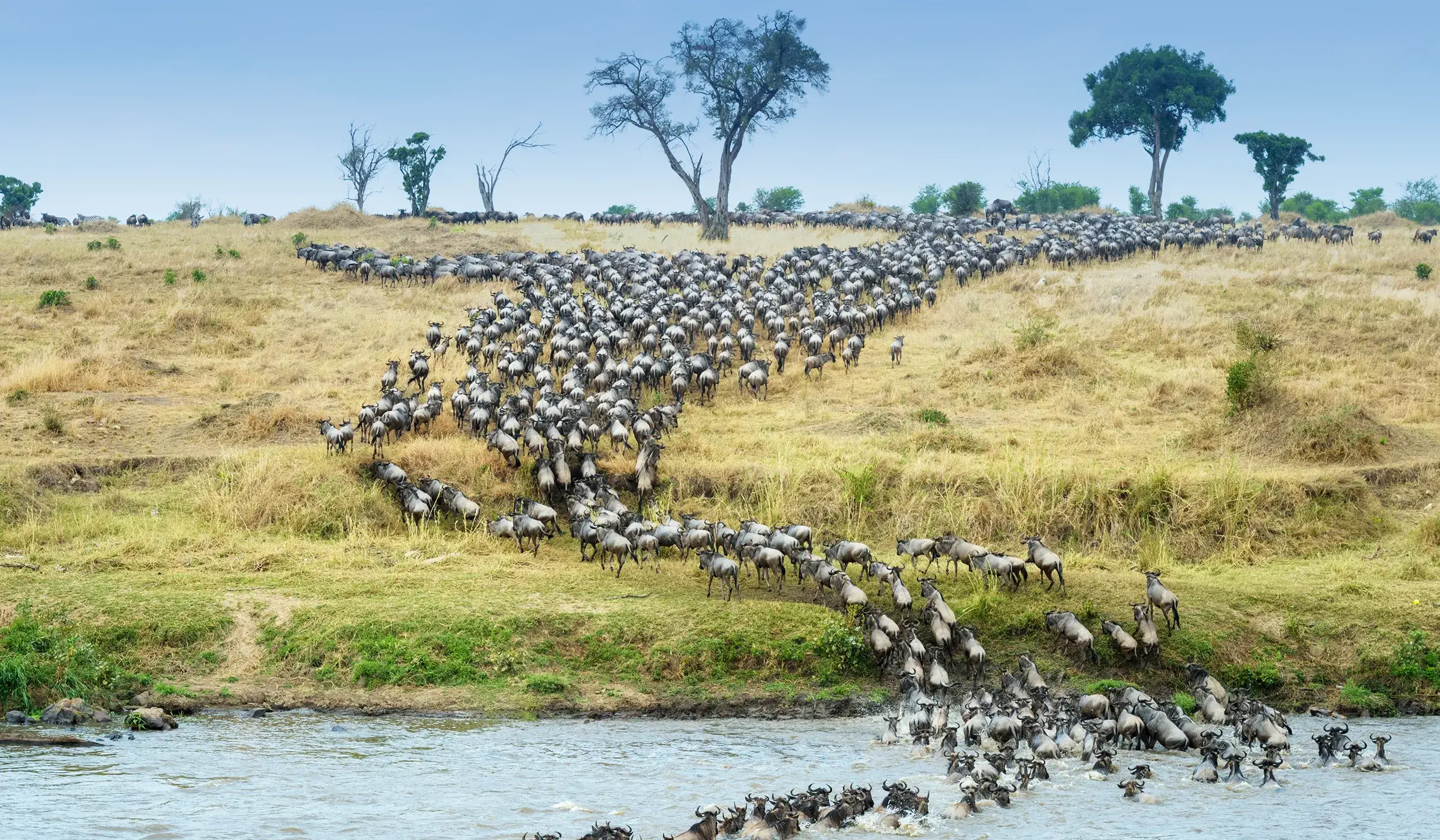 Serengeti National Park