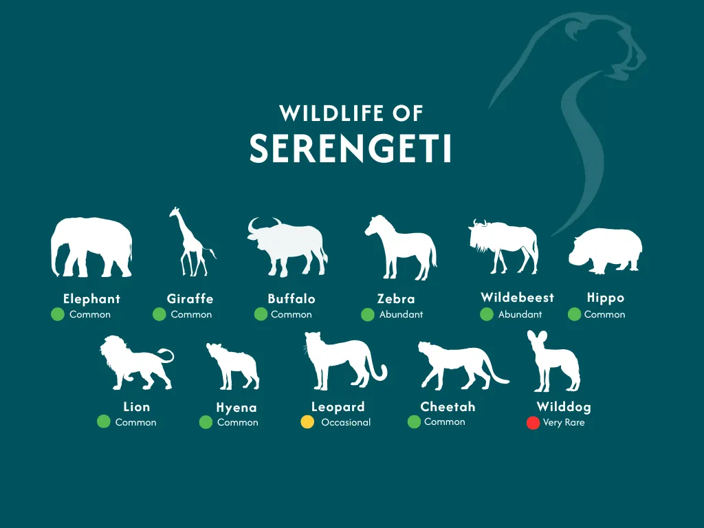 Serengeti National Parks