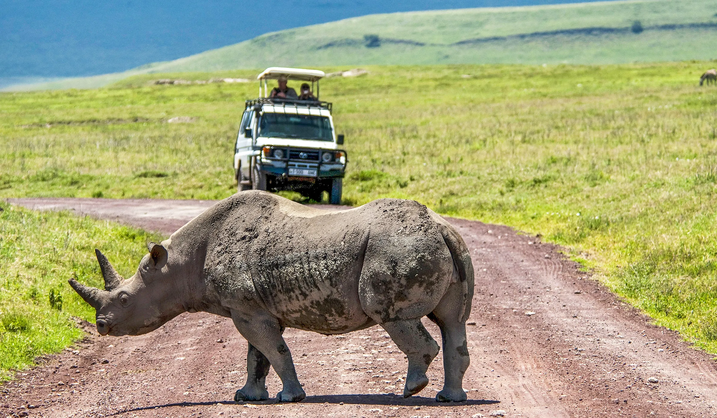 Serengeti Safari Cost