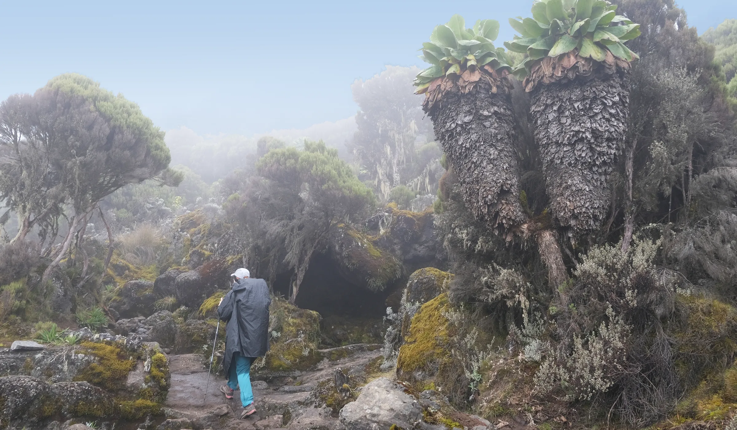 Solo Kilimanjaro Climb