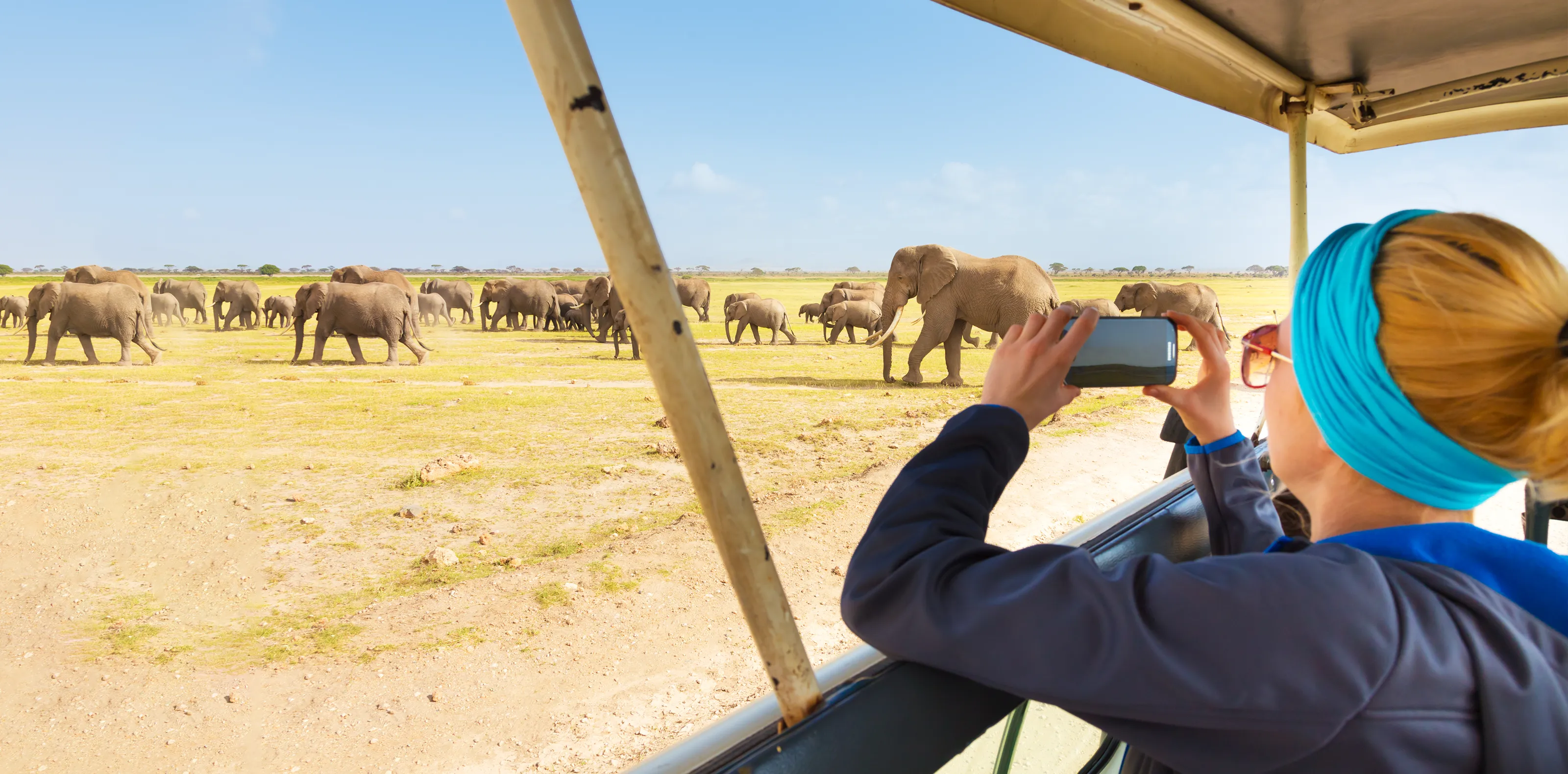 Tanzania High Season Safari Cost