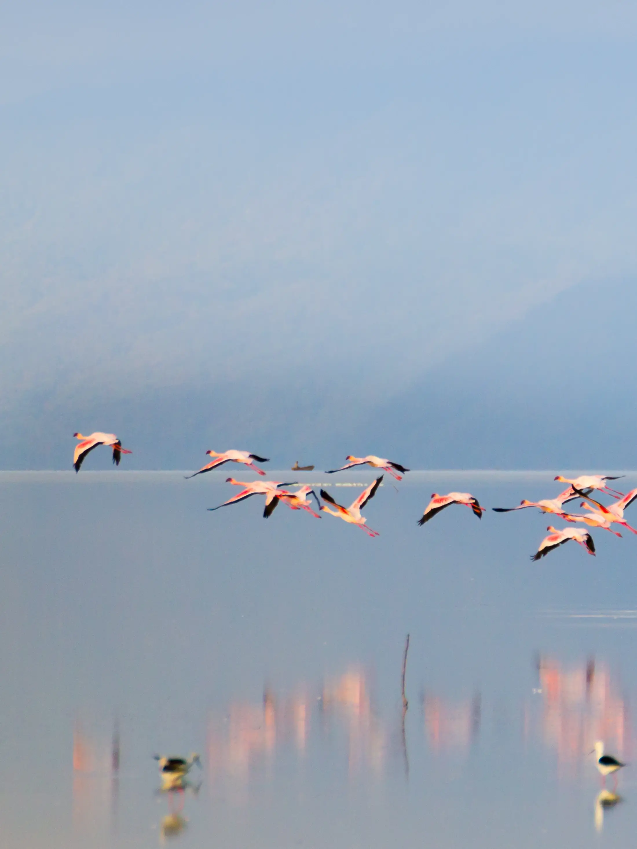 Lake Manyara National Park