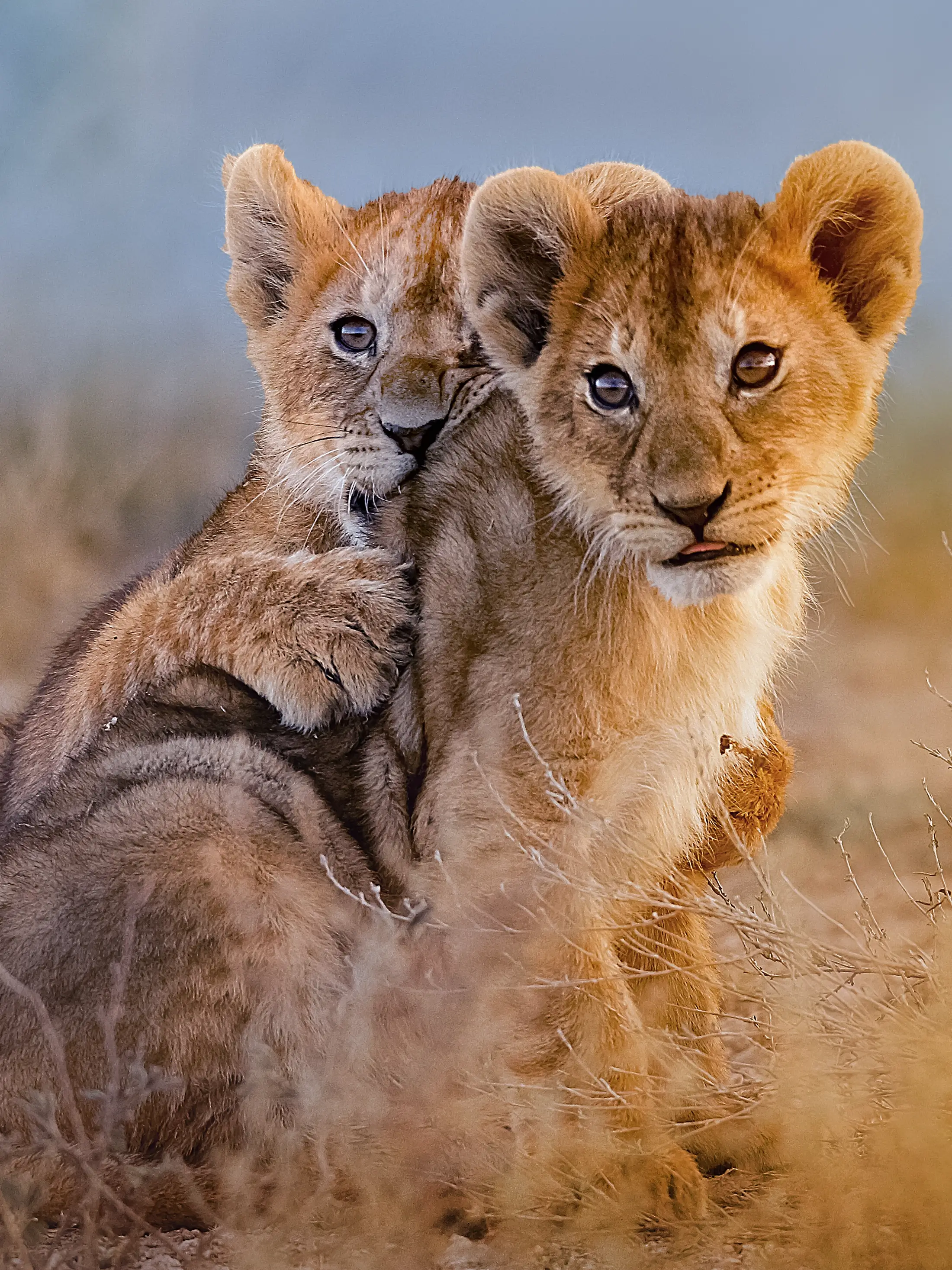 Arusha National Park