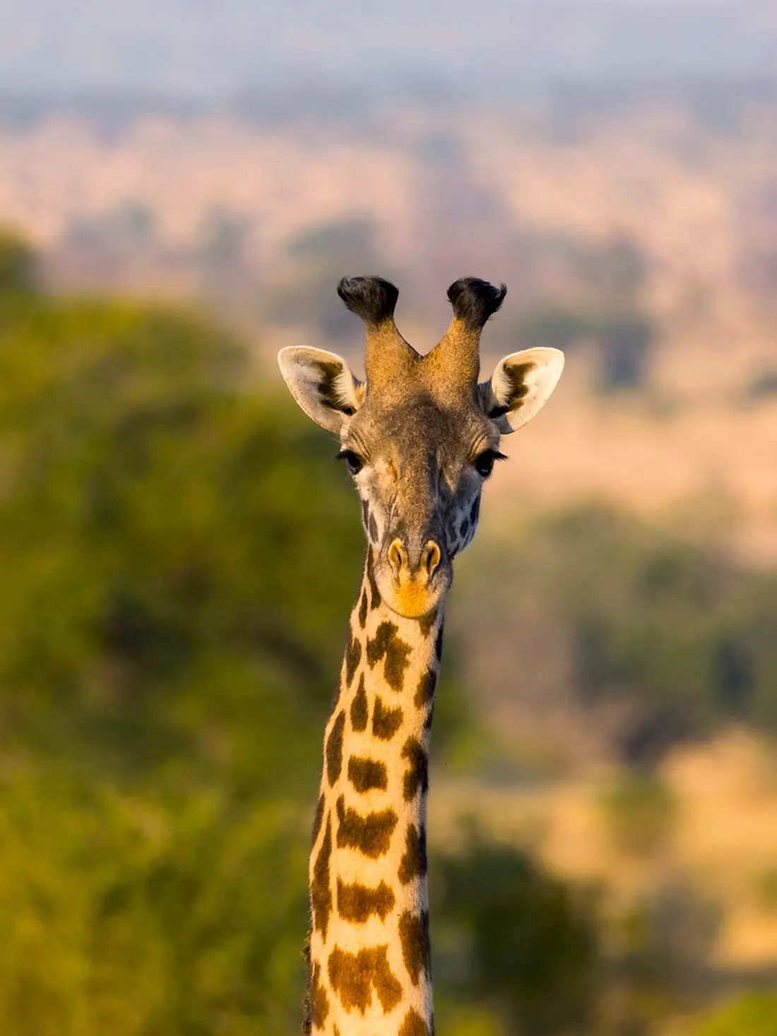 Arusha National Park