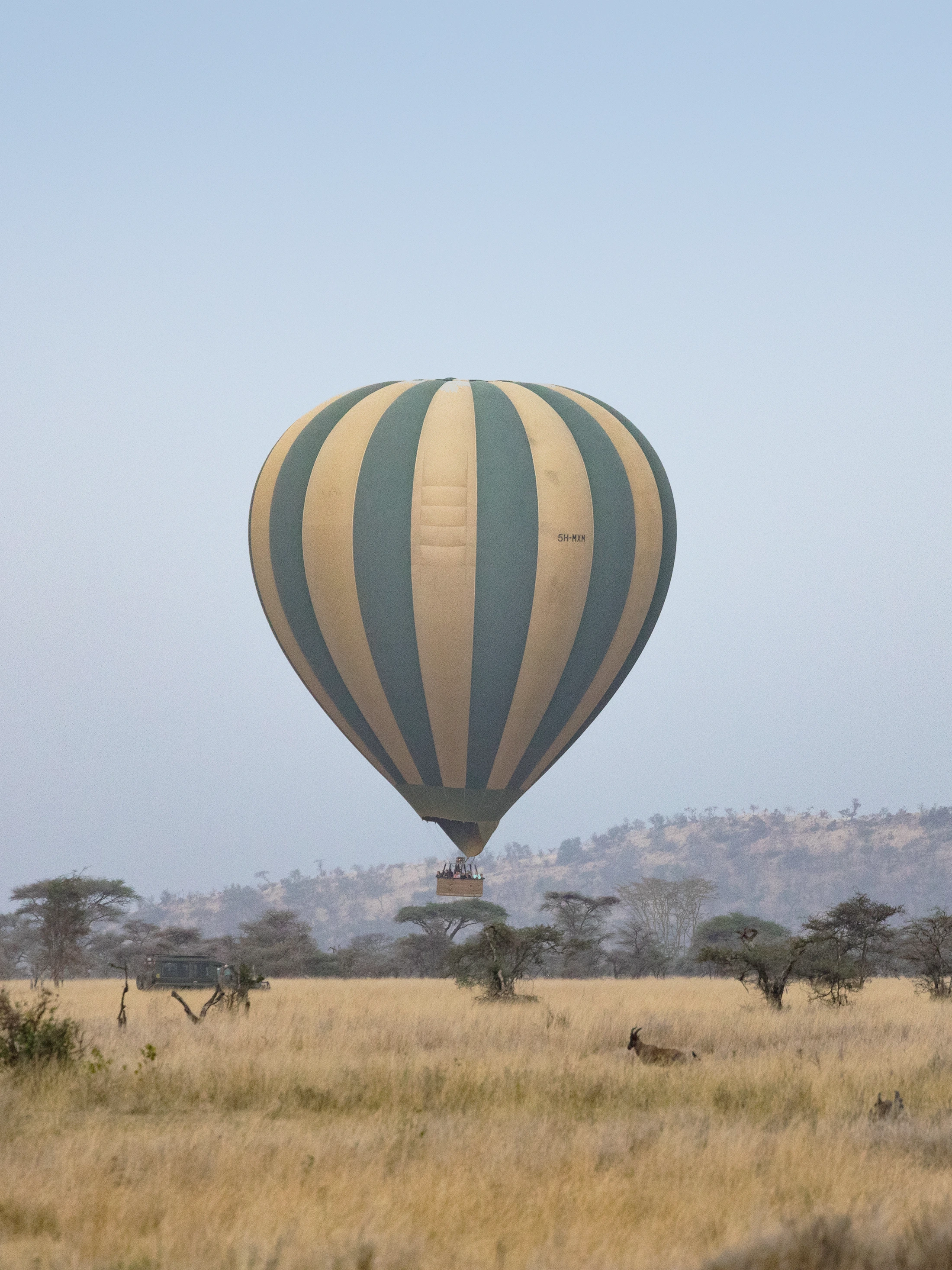 Serengeti National Parks
