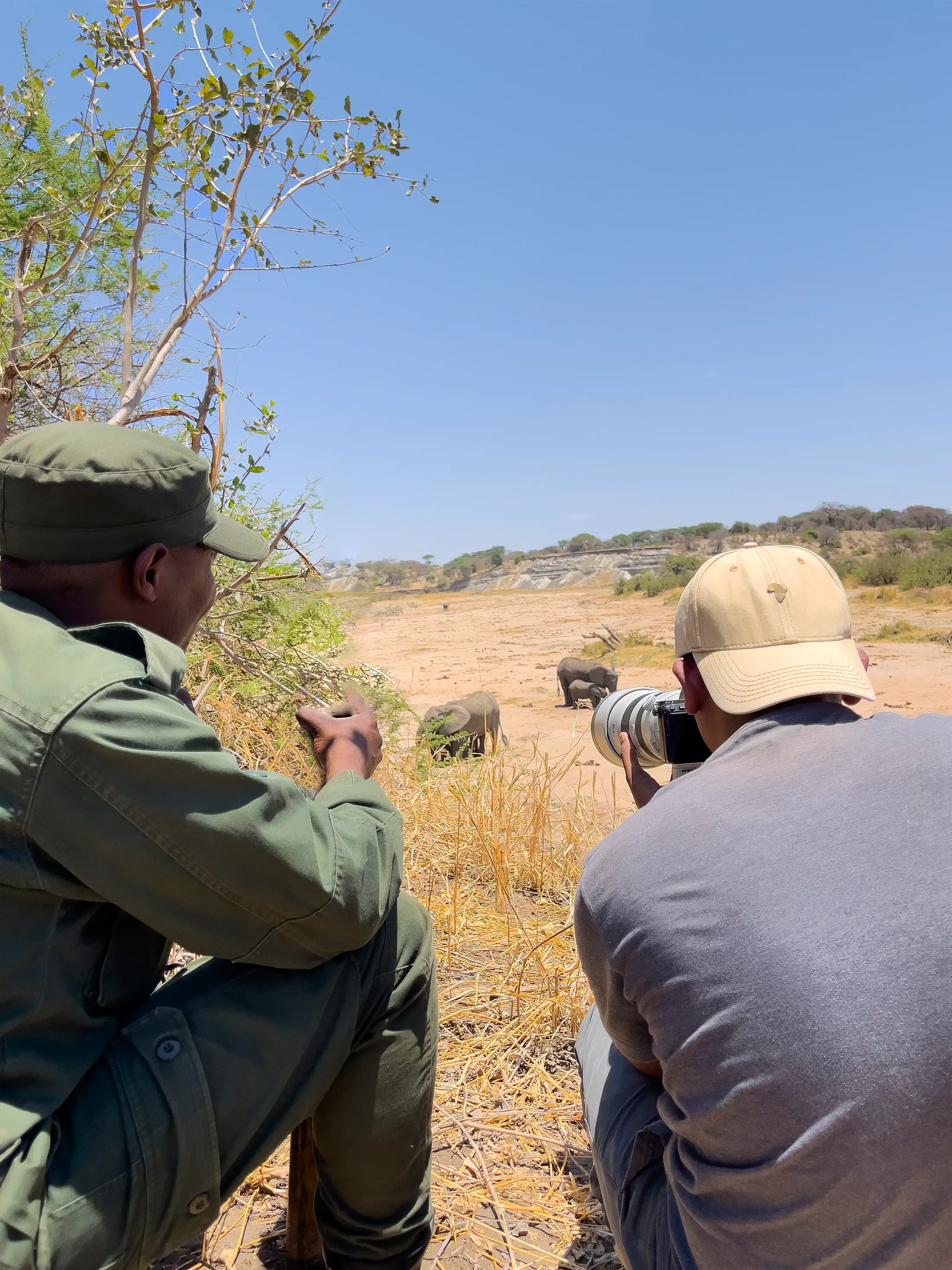 Tarangire National Parks
