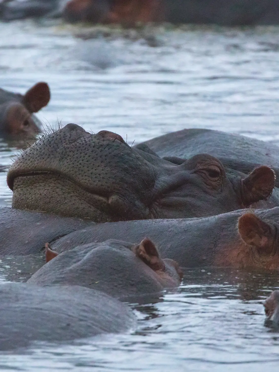 Ngorongoro Conservation Area