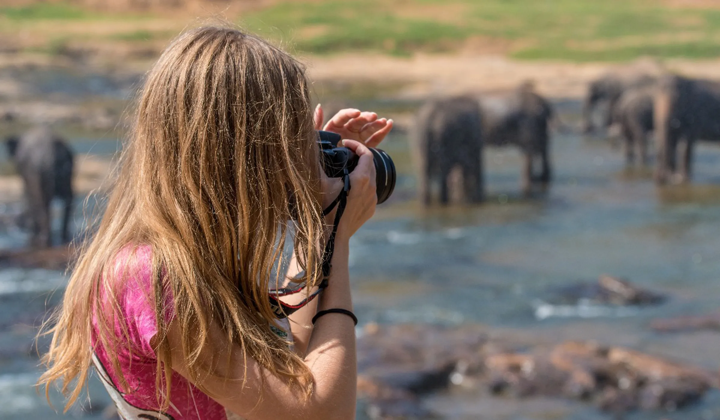 Tanzania Safari Cost