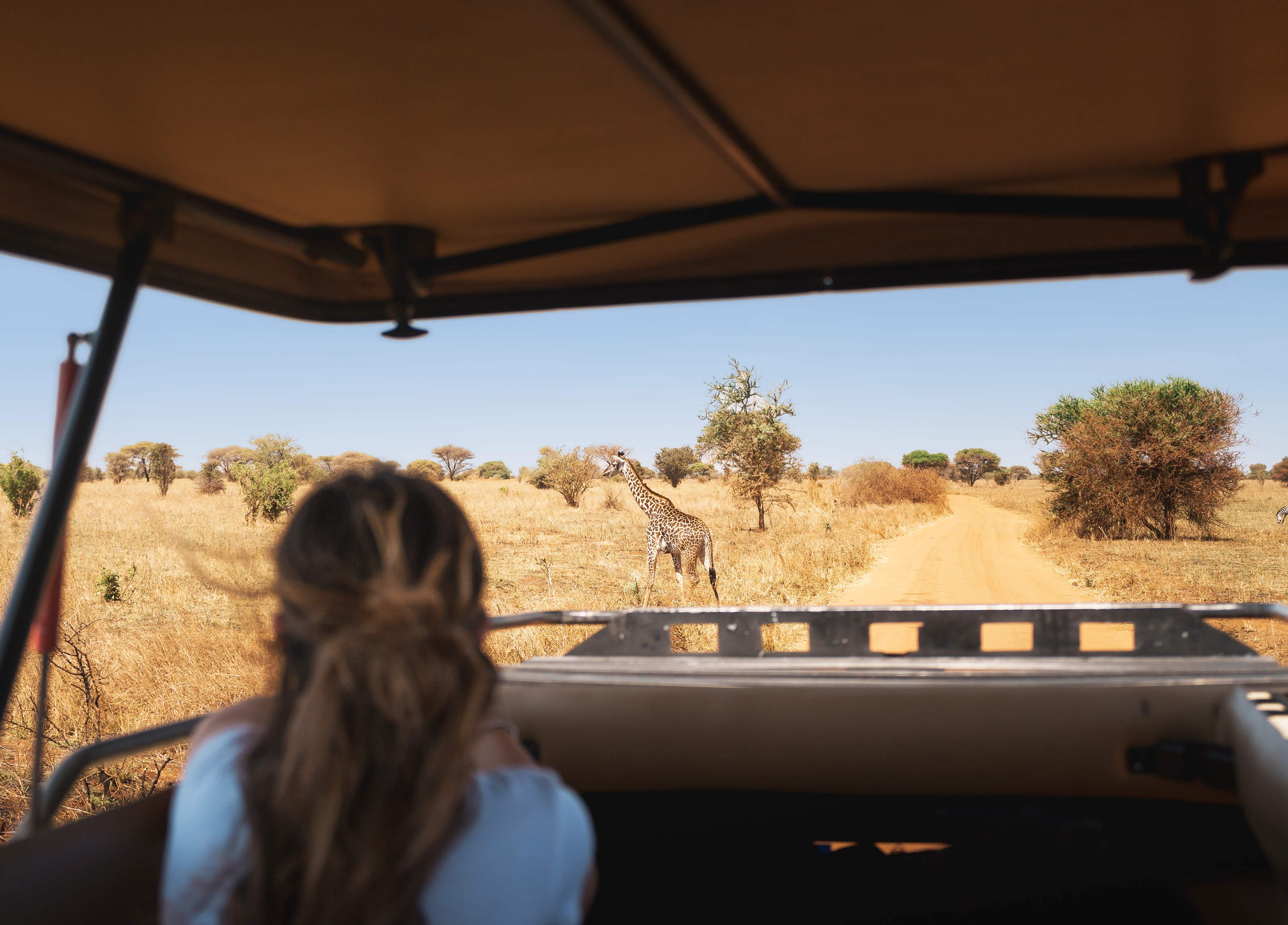 Tanzania Safari Cost From The Uk