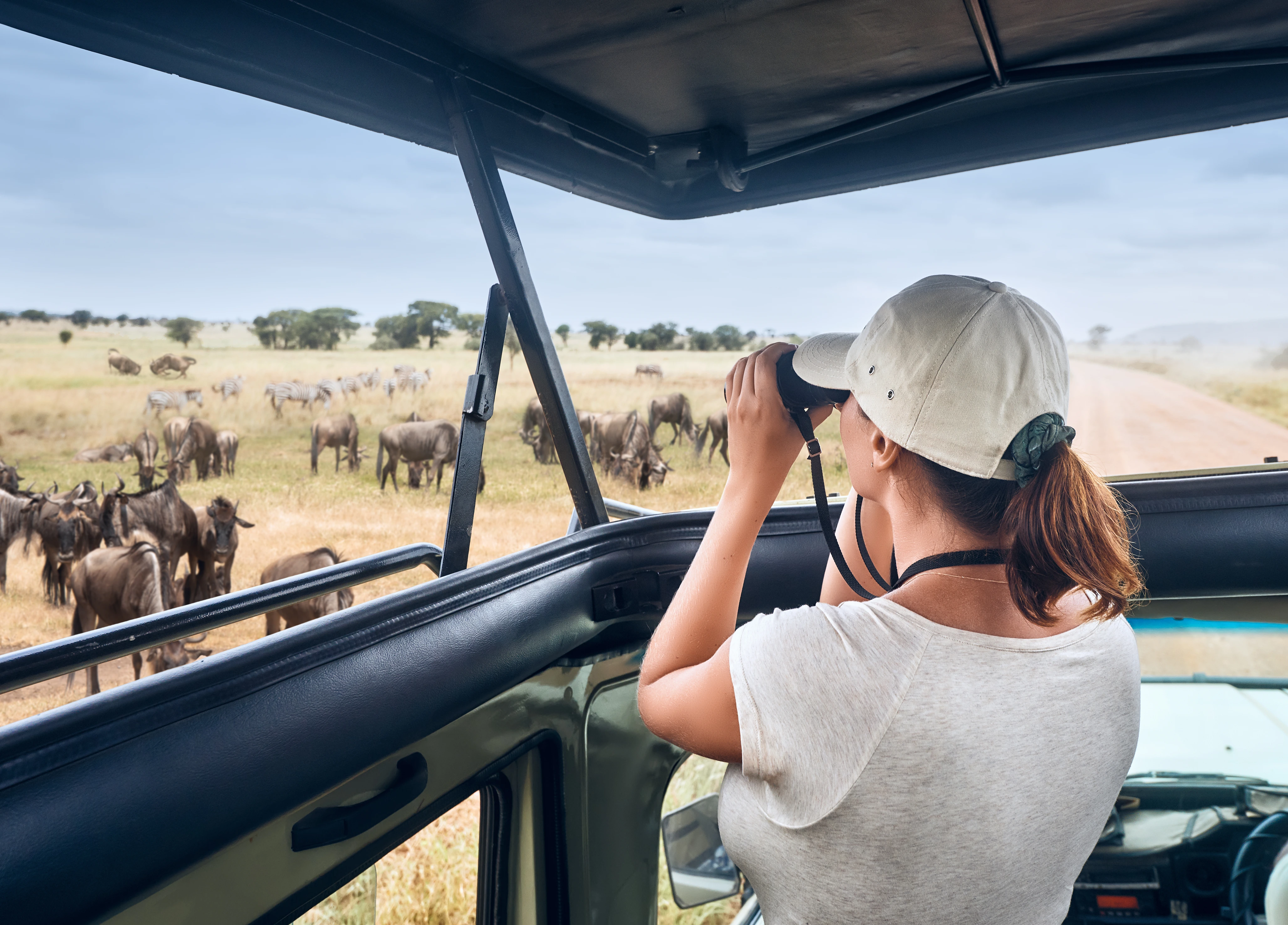 Tanzania Safari Cost From The Usa