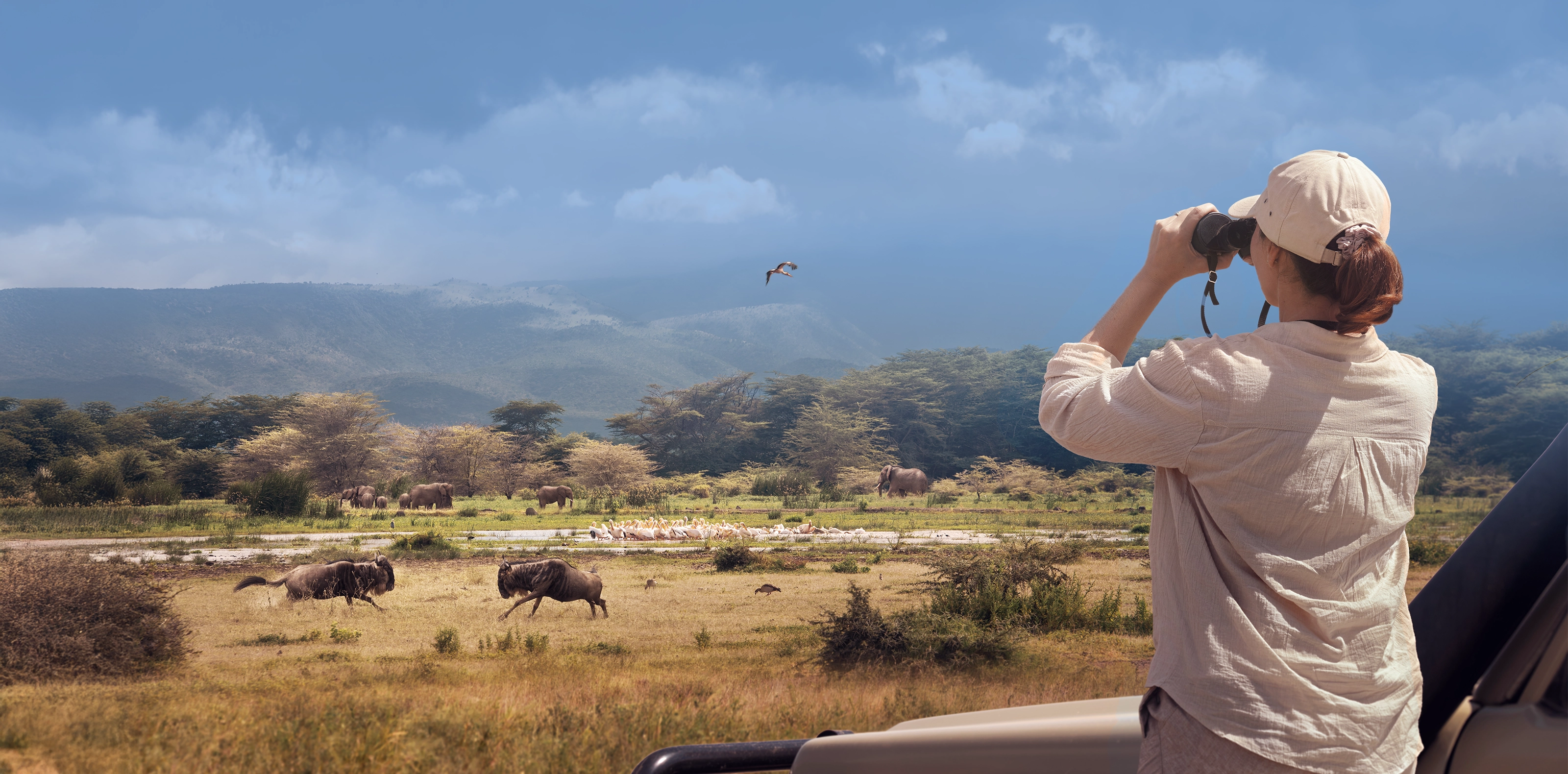 Tanzania Safari Cost From The Usa