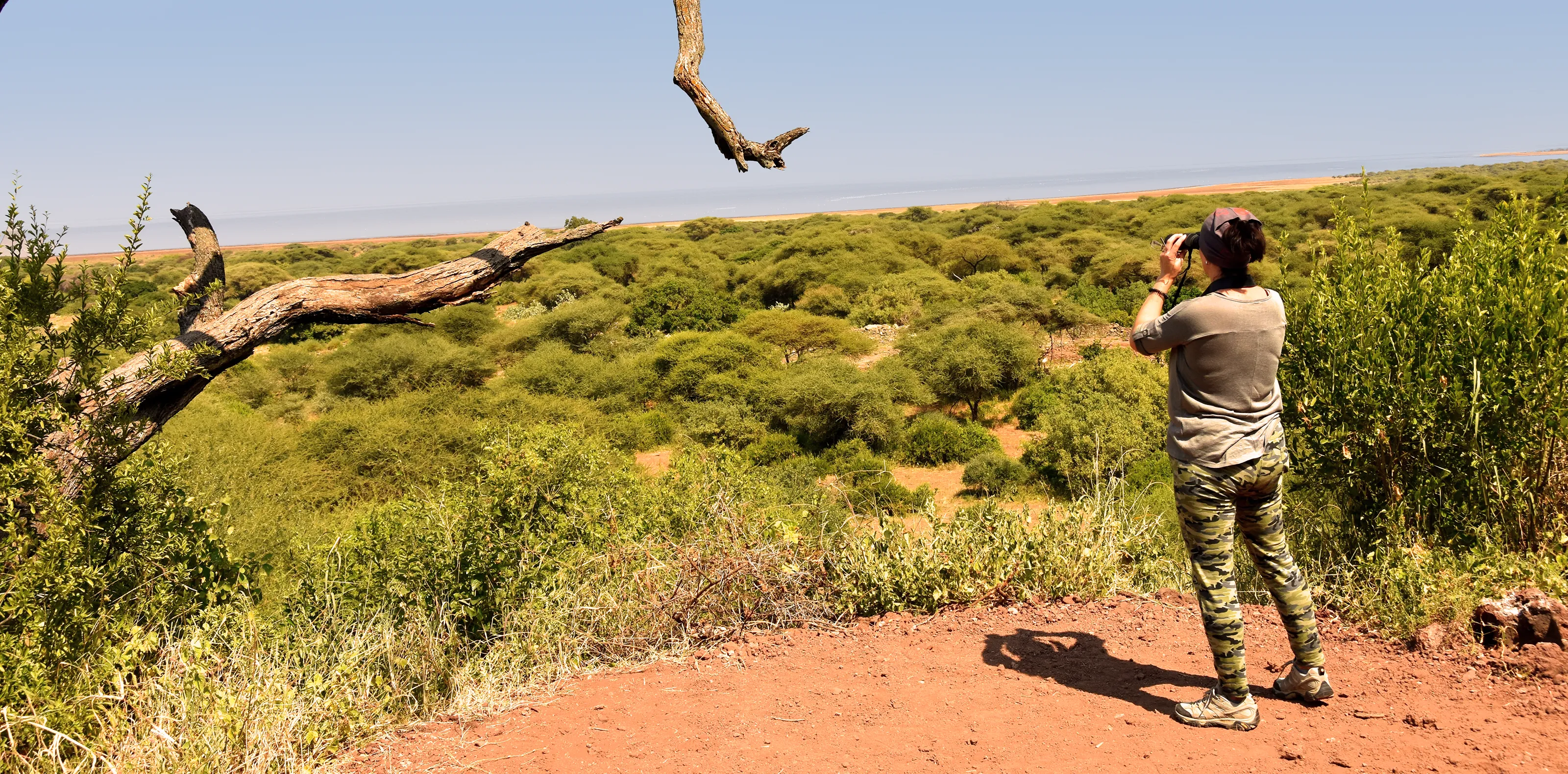Tanzania Safari Experience