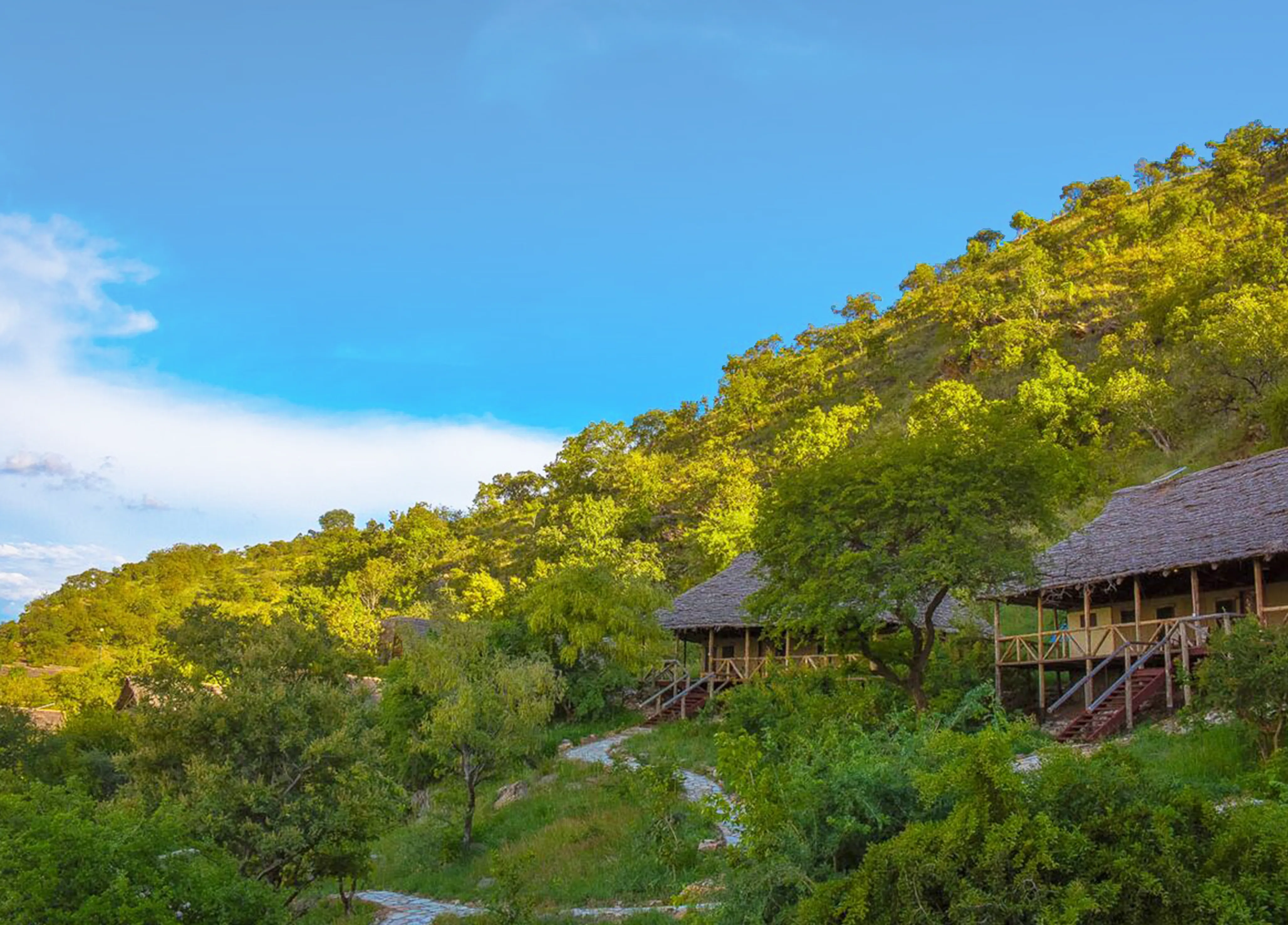 Tanzania Travel Guide