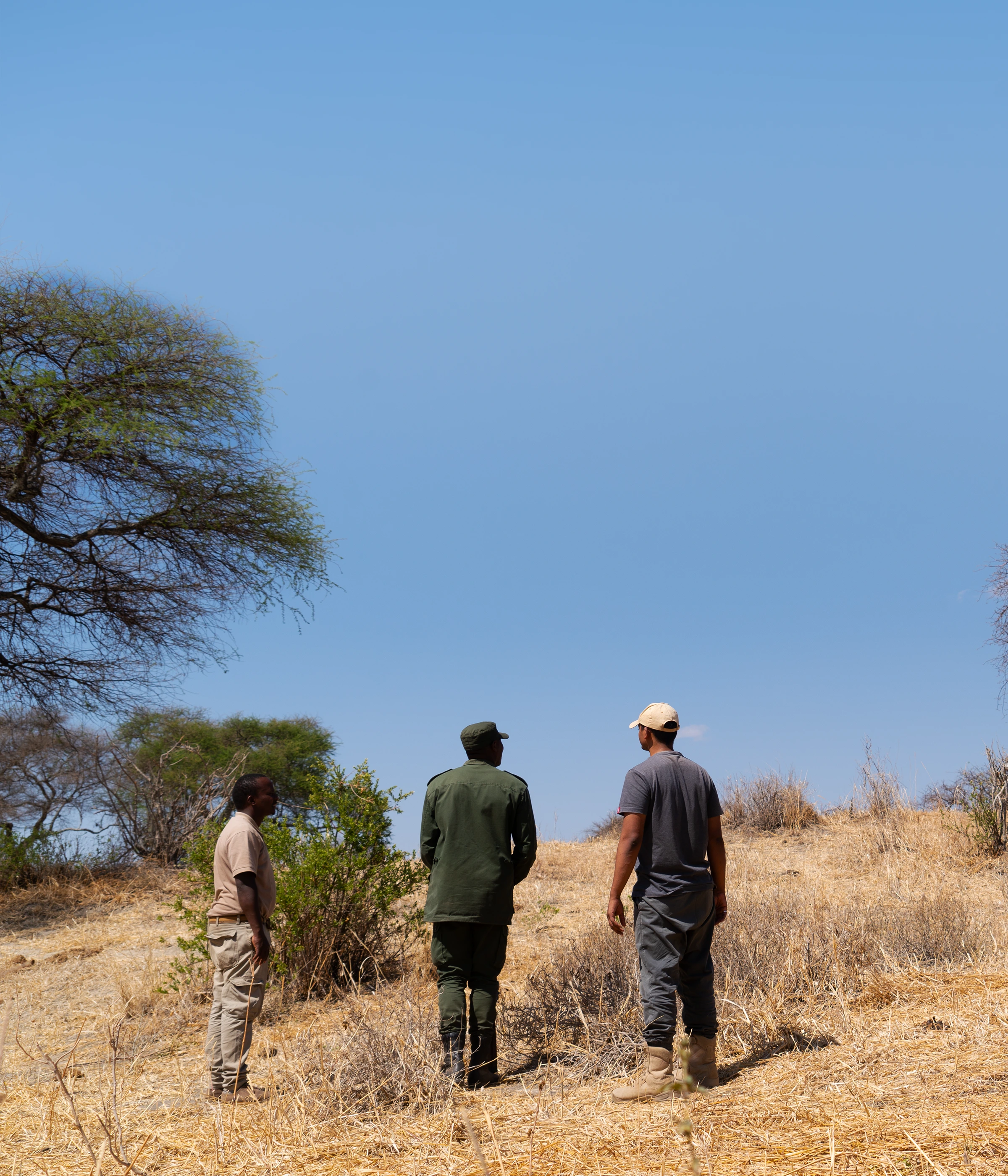 Tarangire National Parks