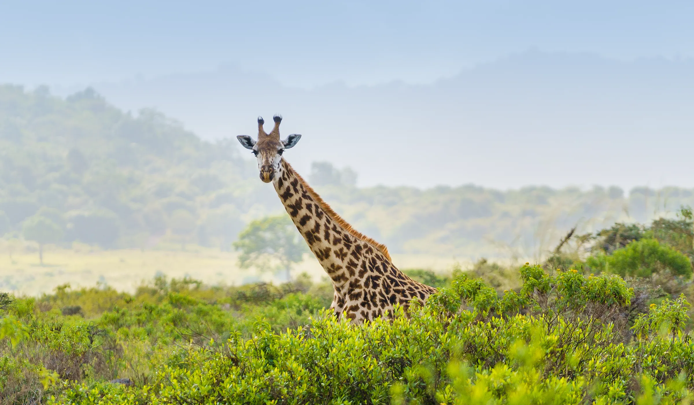 50 Things To Do In Arusha