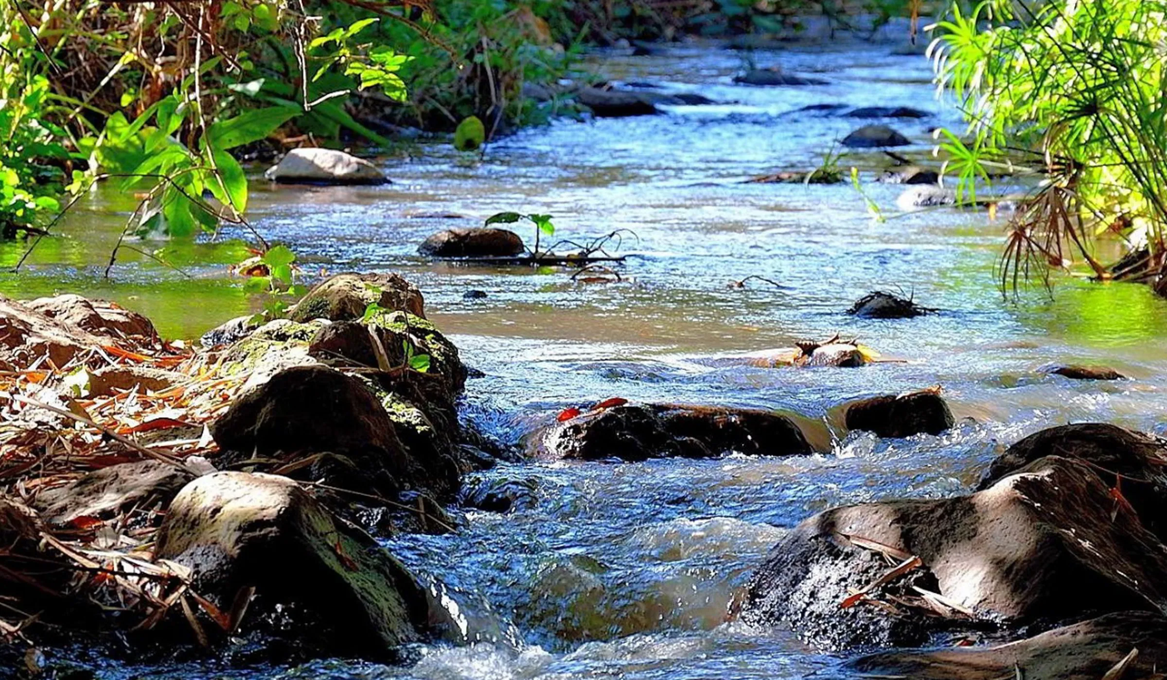 50 Things To Do In Arusha