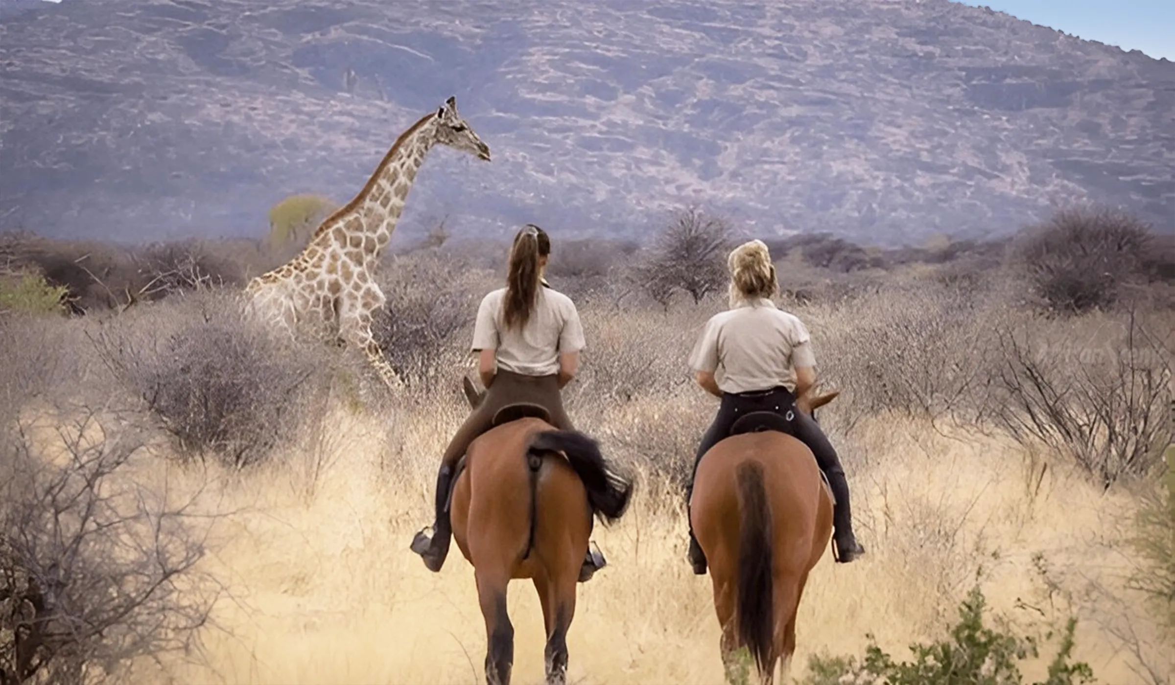 50 Things To Do In Arusha