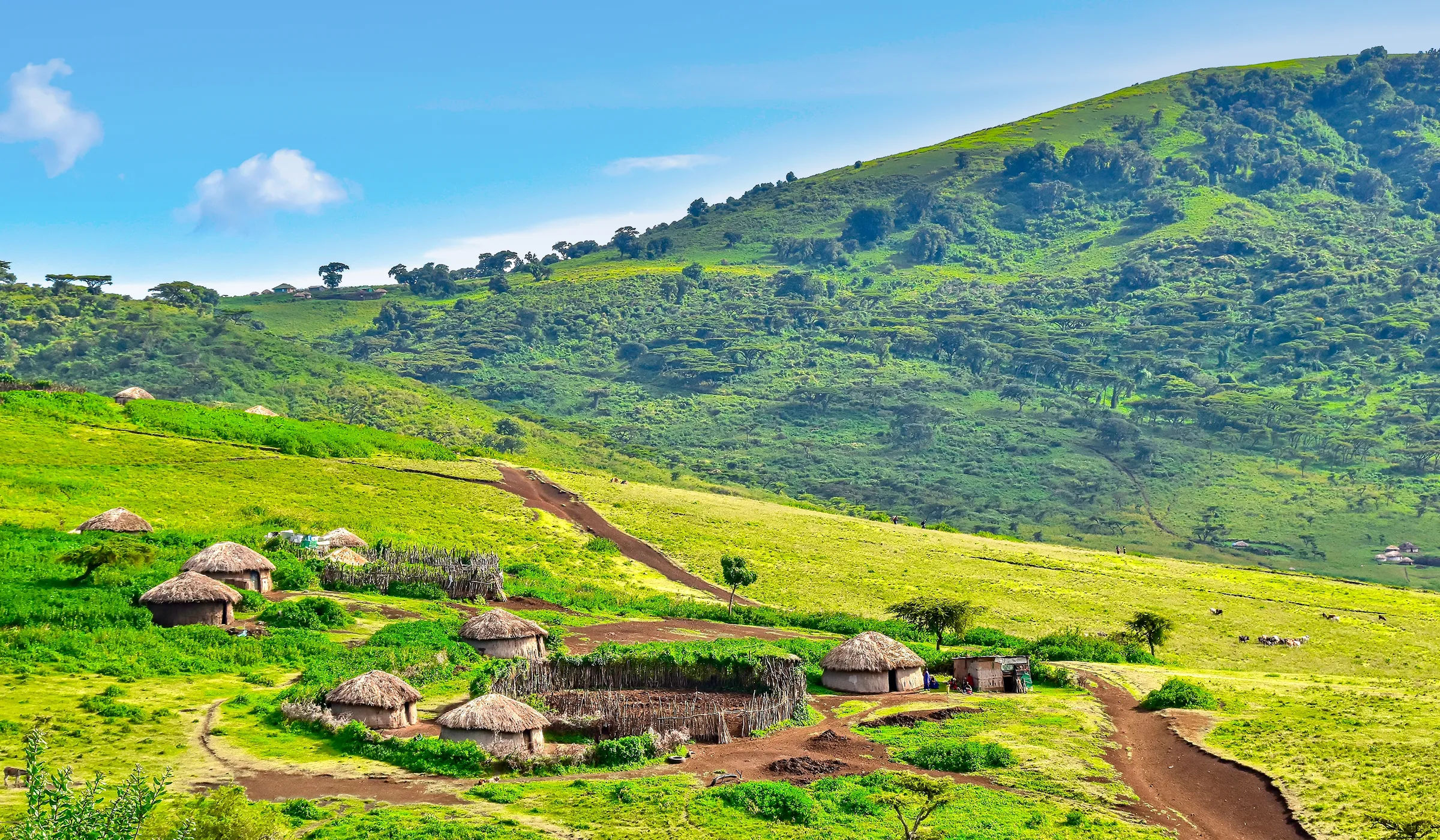 50 Things To Do In Arusha