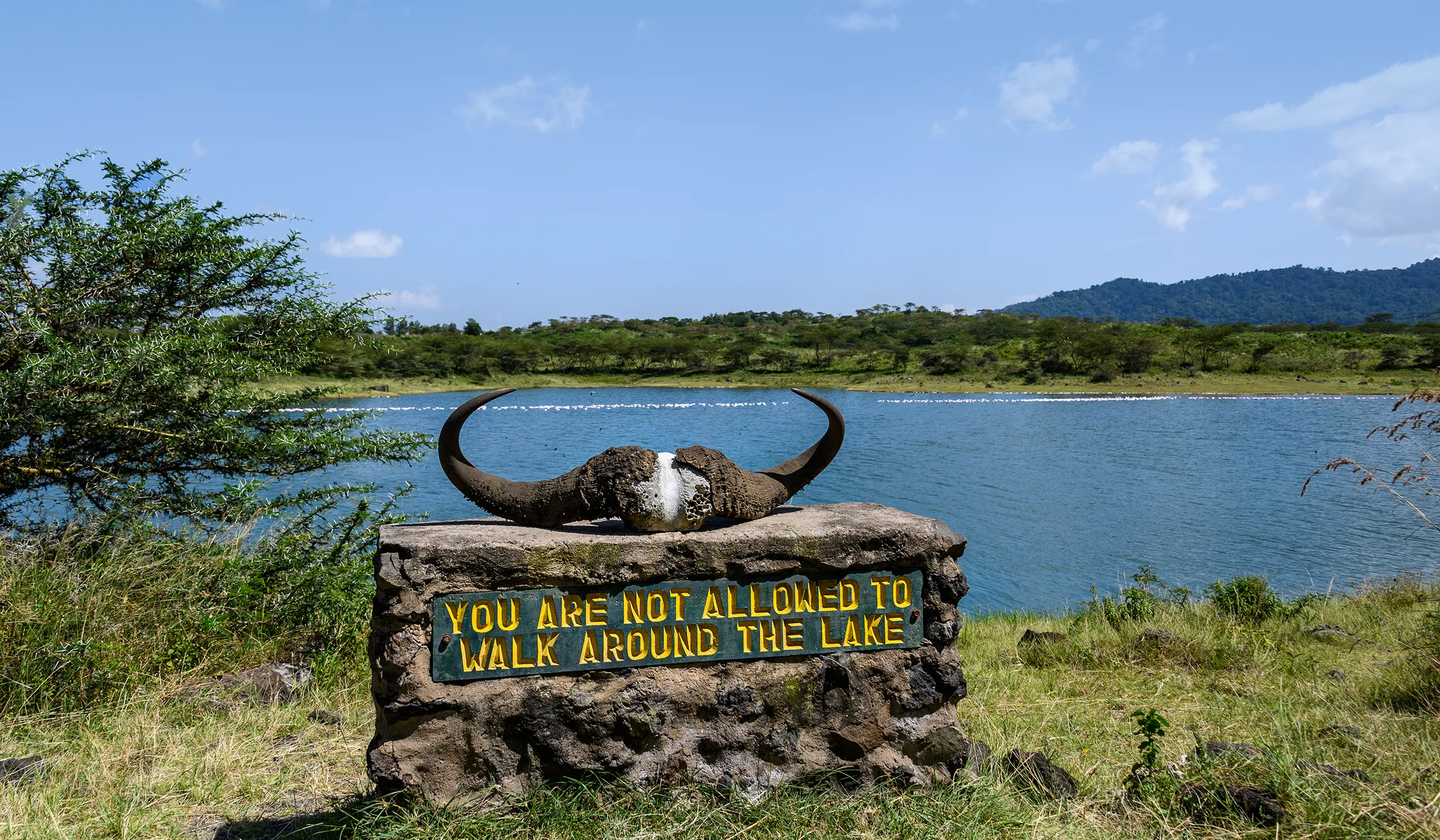 50 Things To Do In Arusha