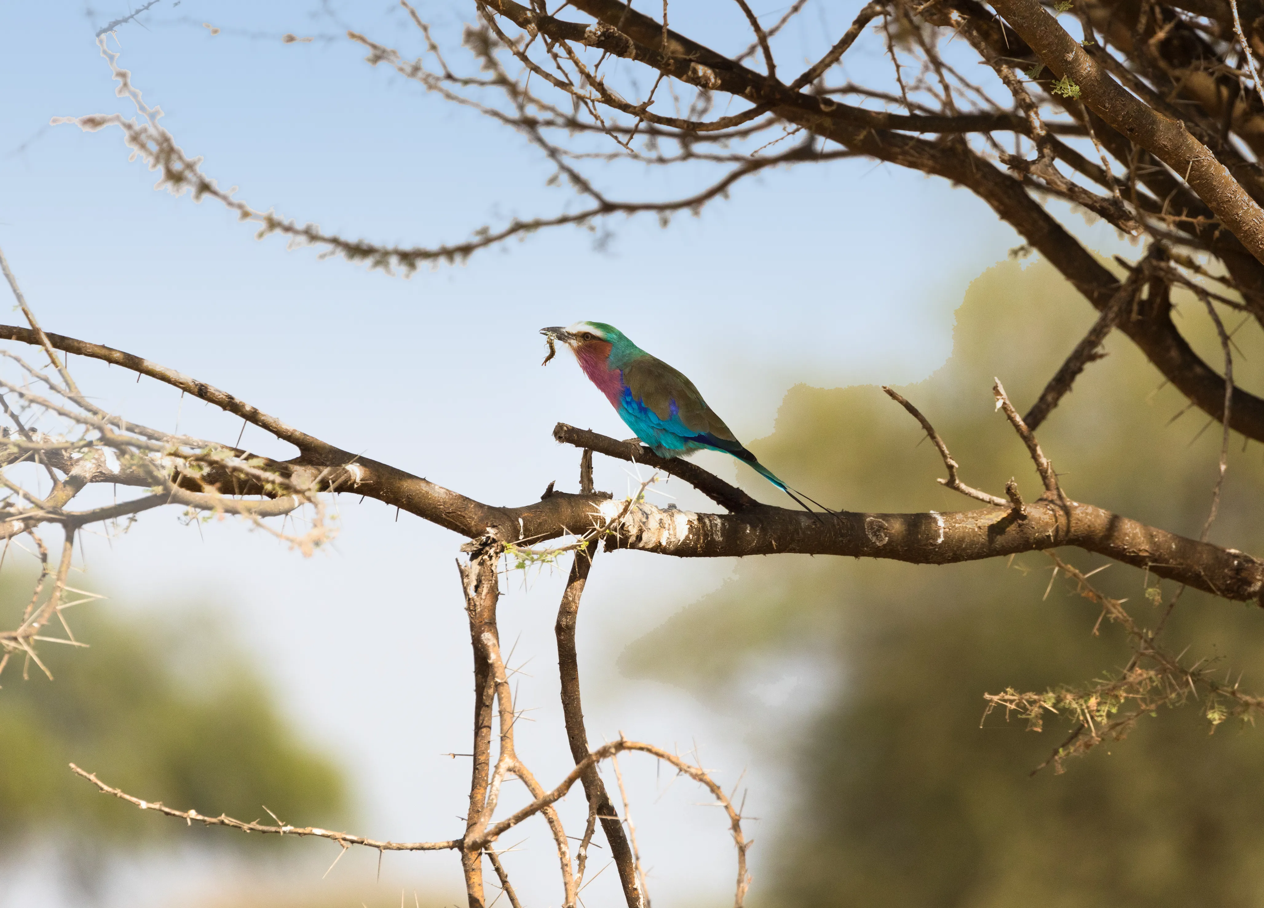 50 Things To Do In Arusha