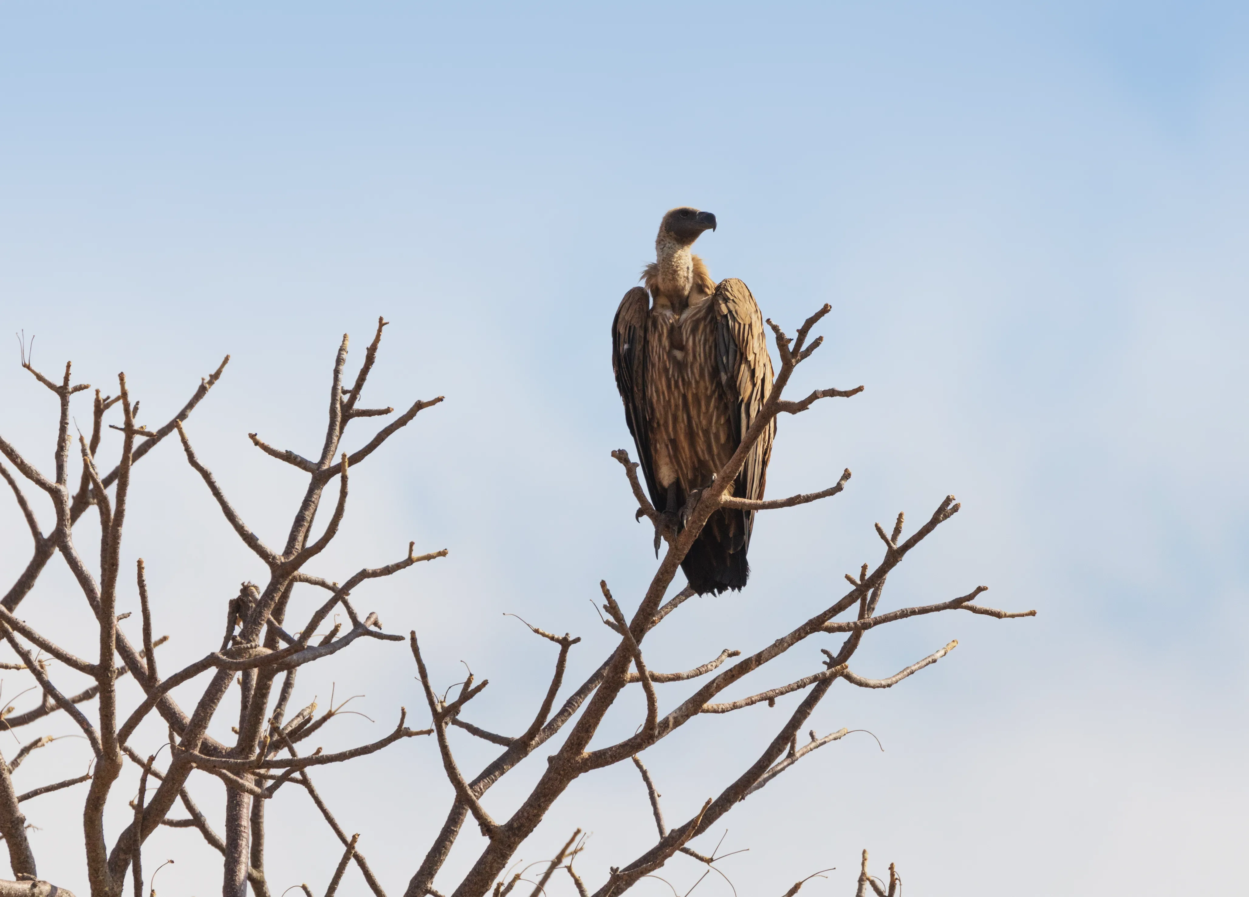 50 Things To Do In Arusha