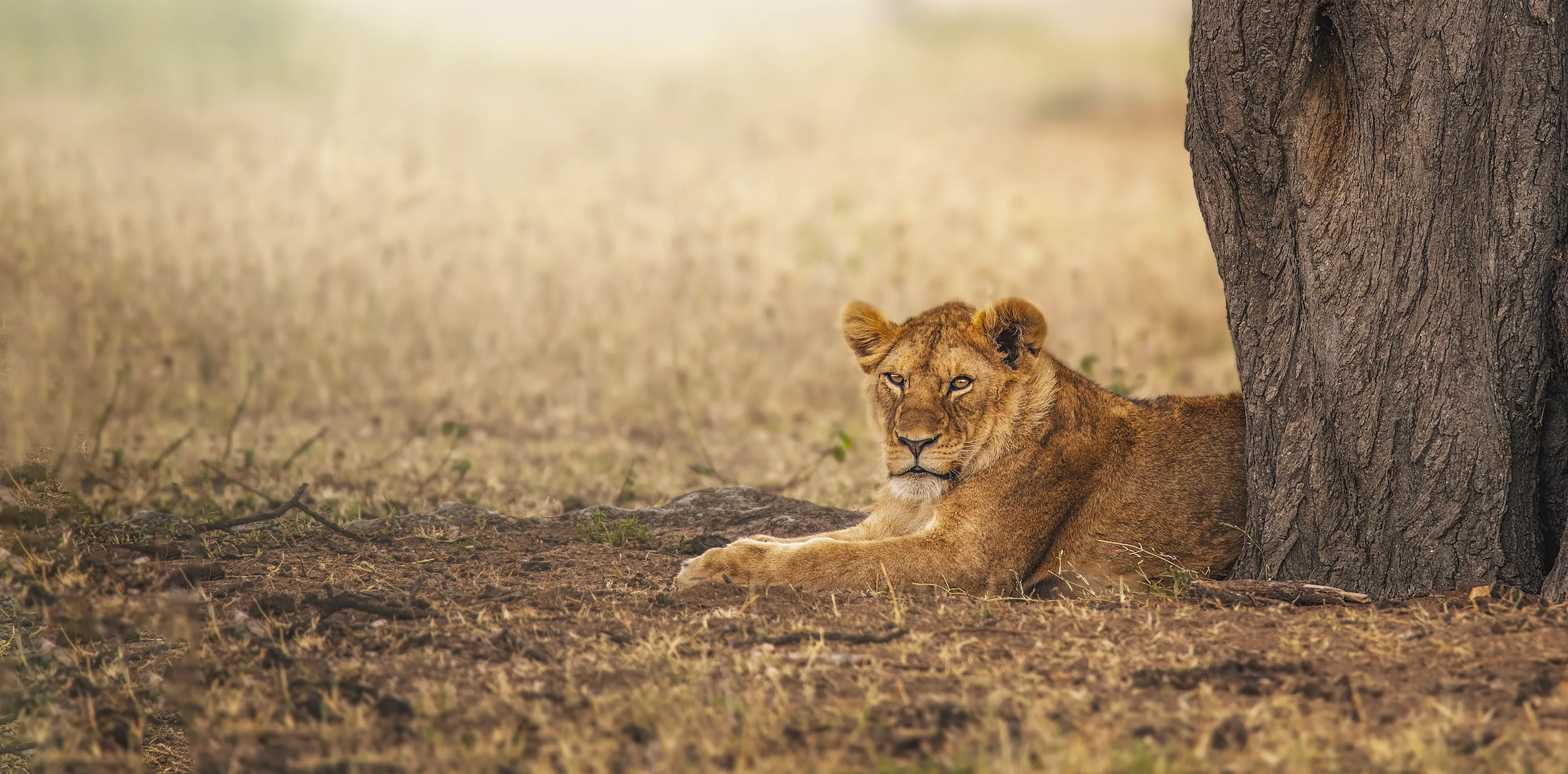 50 Things To Do In Arusha
