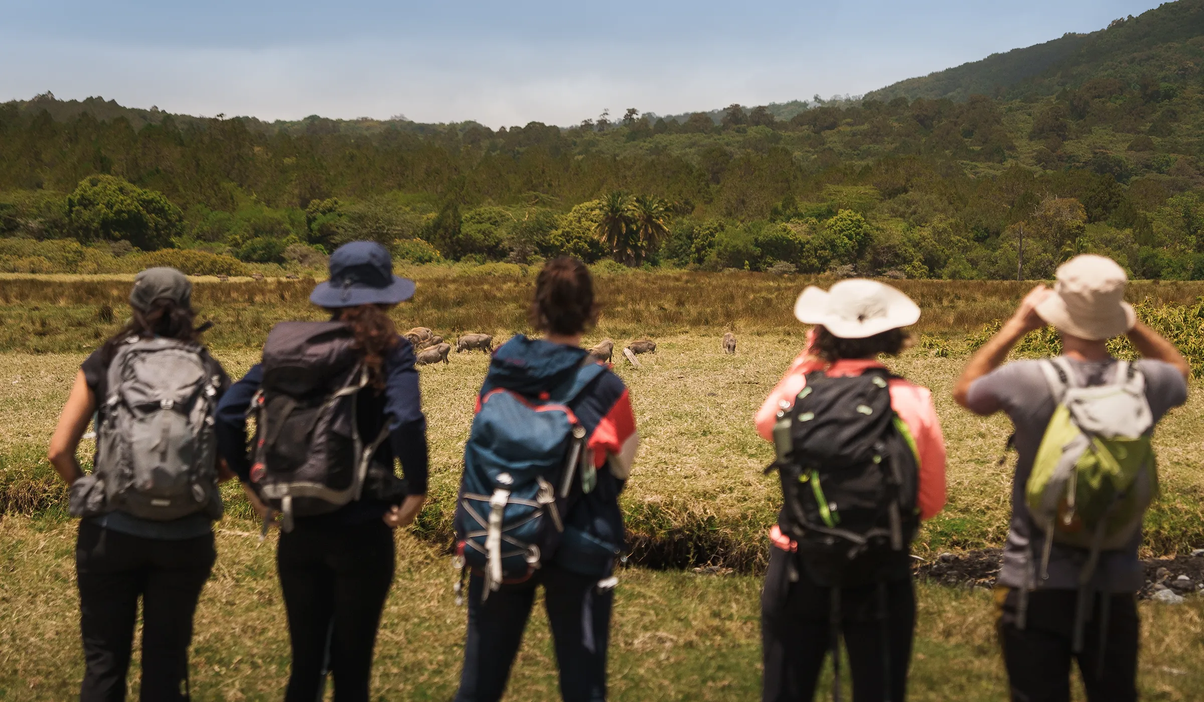 29 Things to Do in Moshi