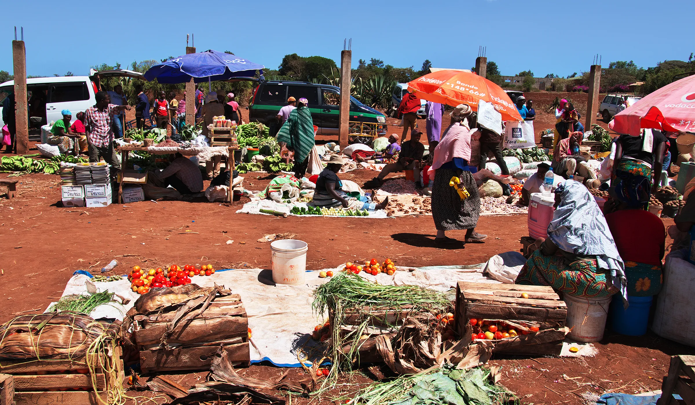29 Things to Do in Moshi