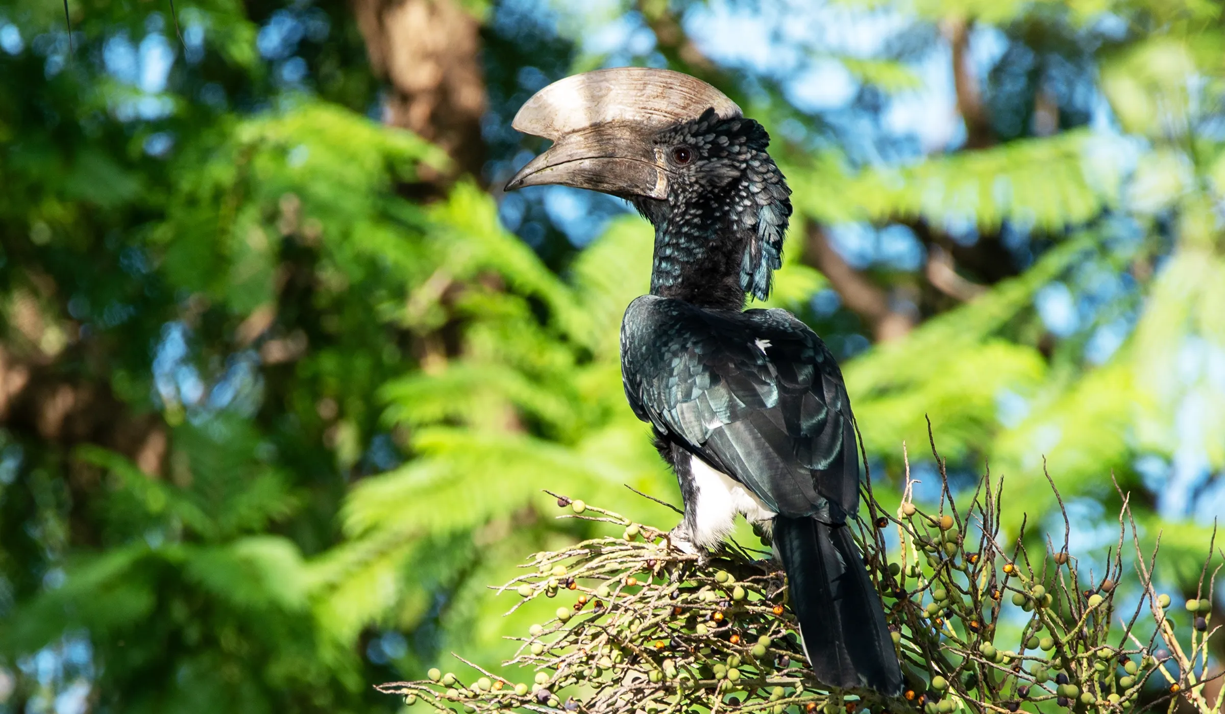 29 Things to Do in Moshi