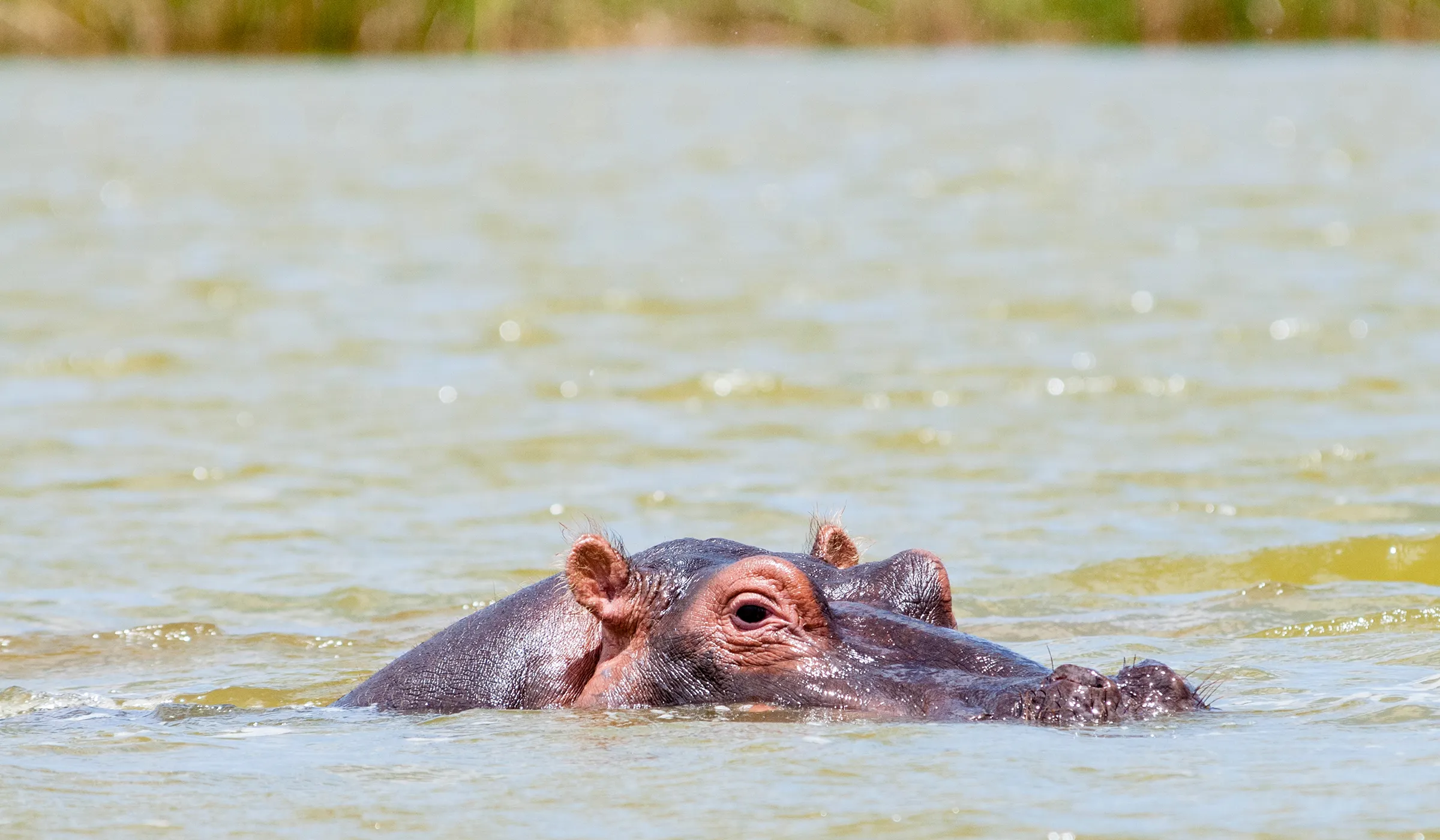 29 Things to Do in Moshi