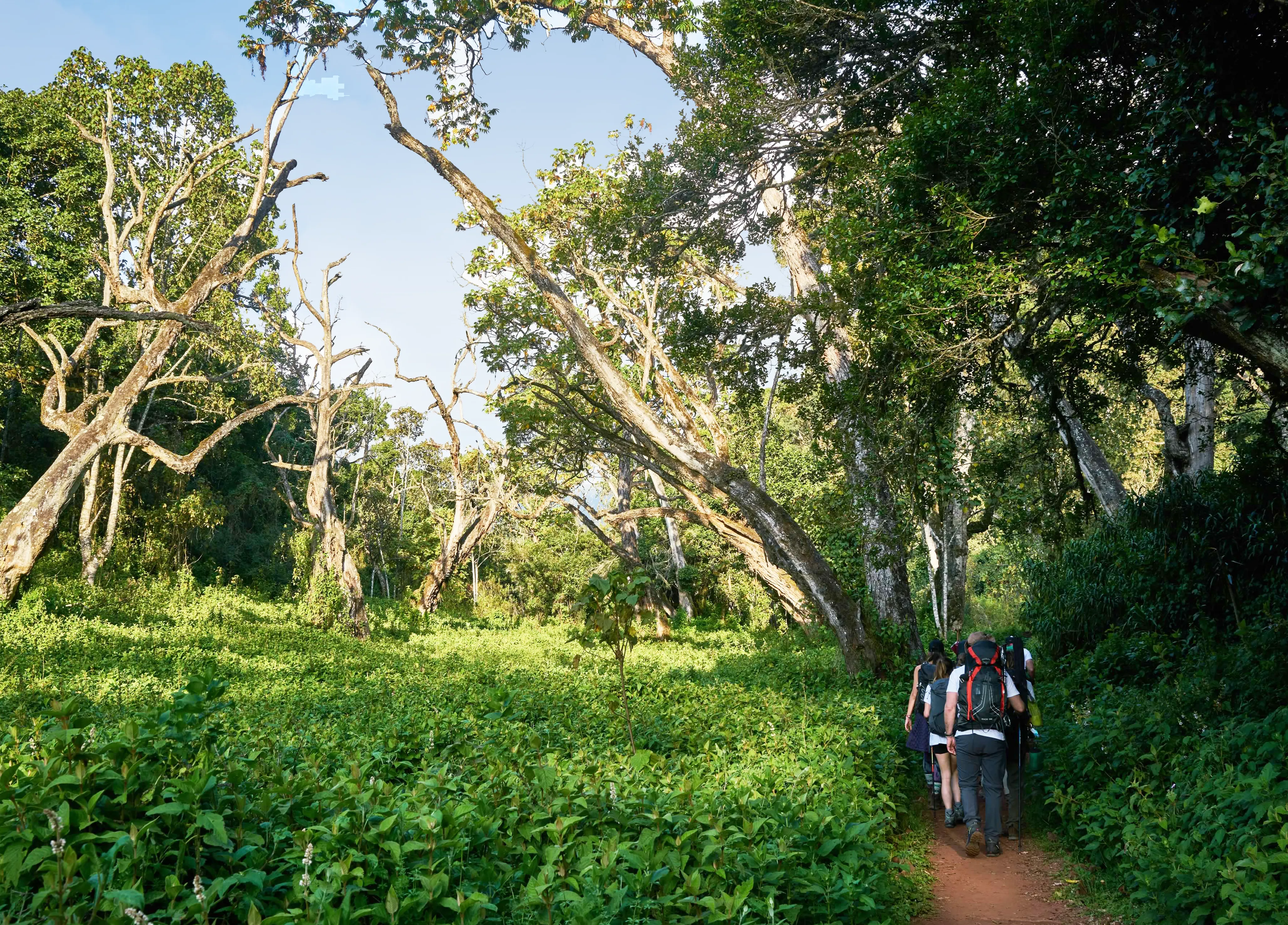 29 Things to Do in Moshi