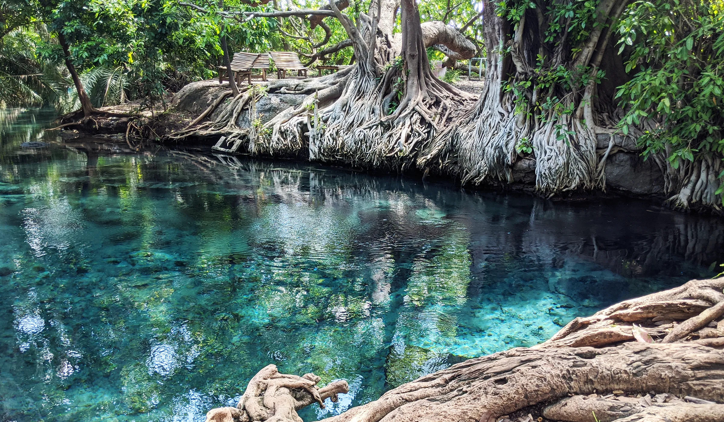 29 Things to Do in Moshi