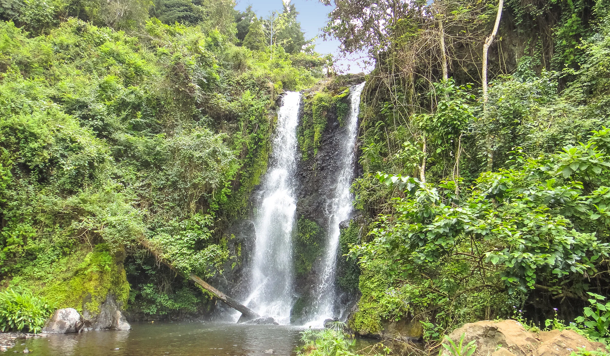 29 Things to Do in Moshi