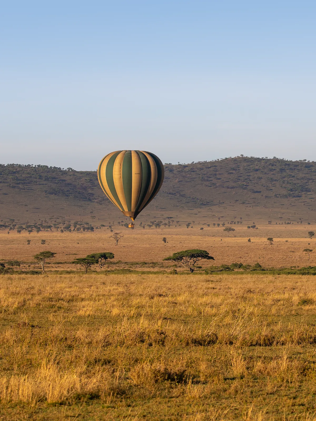 Thingos To Do In Serengeti