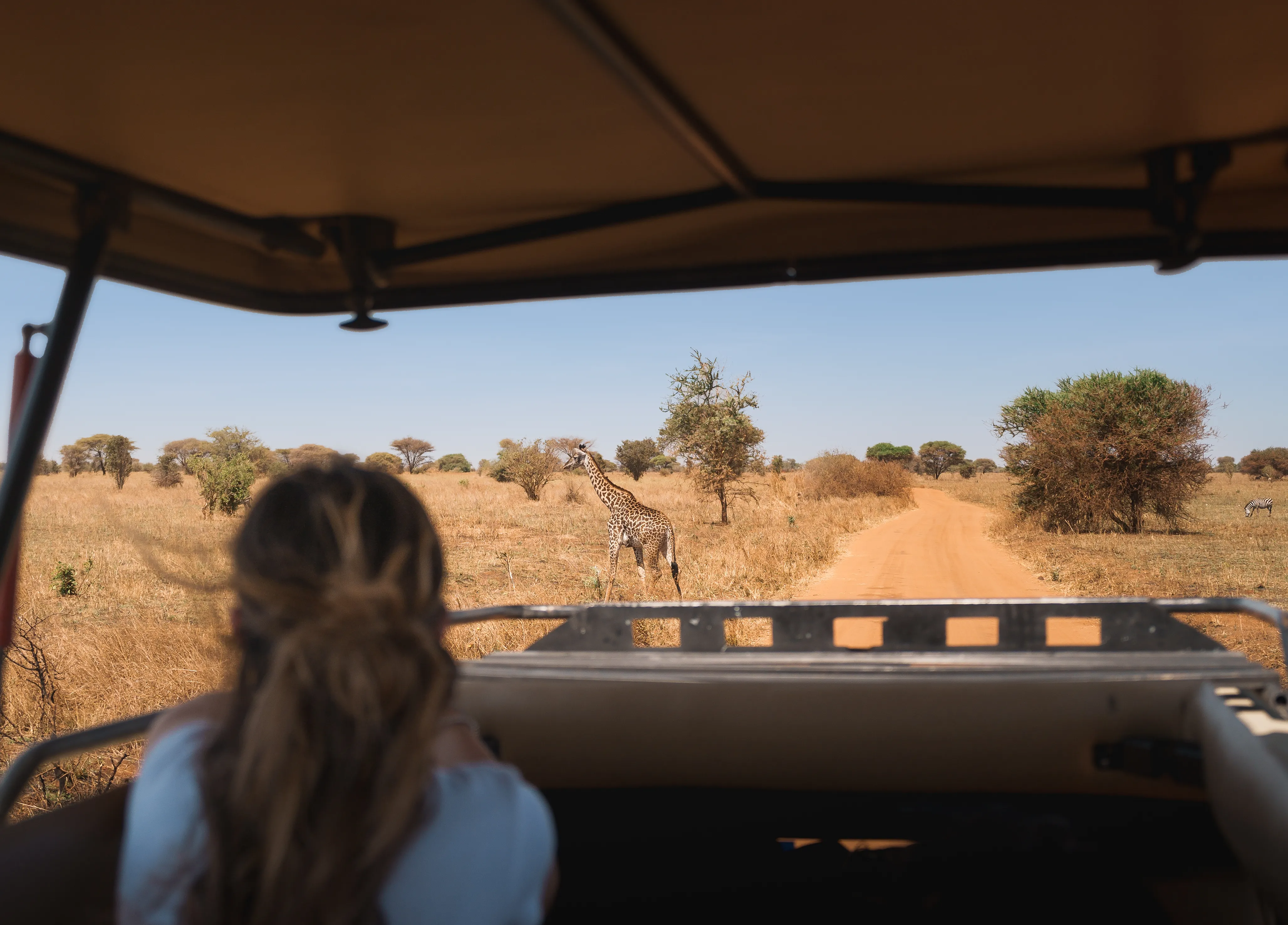 Things To Do In Tanzania
