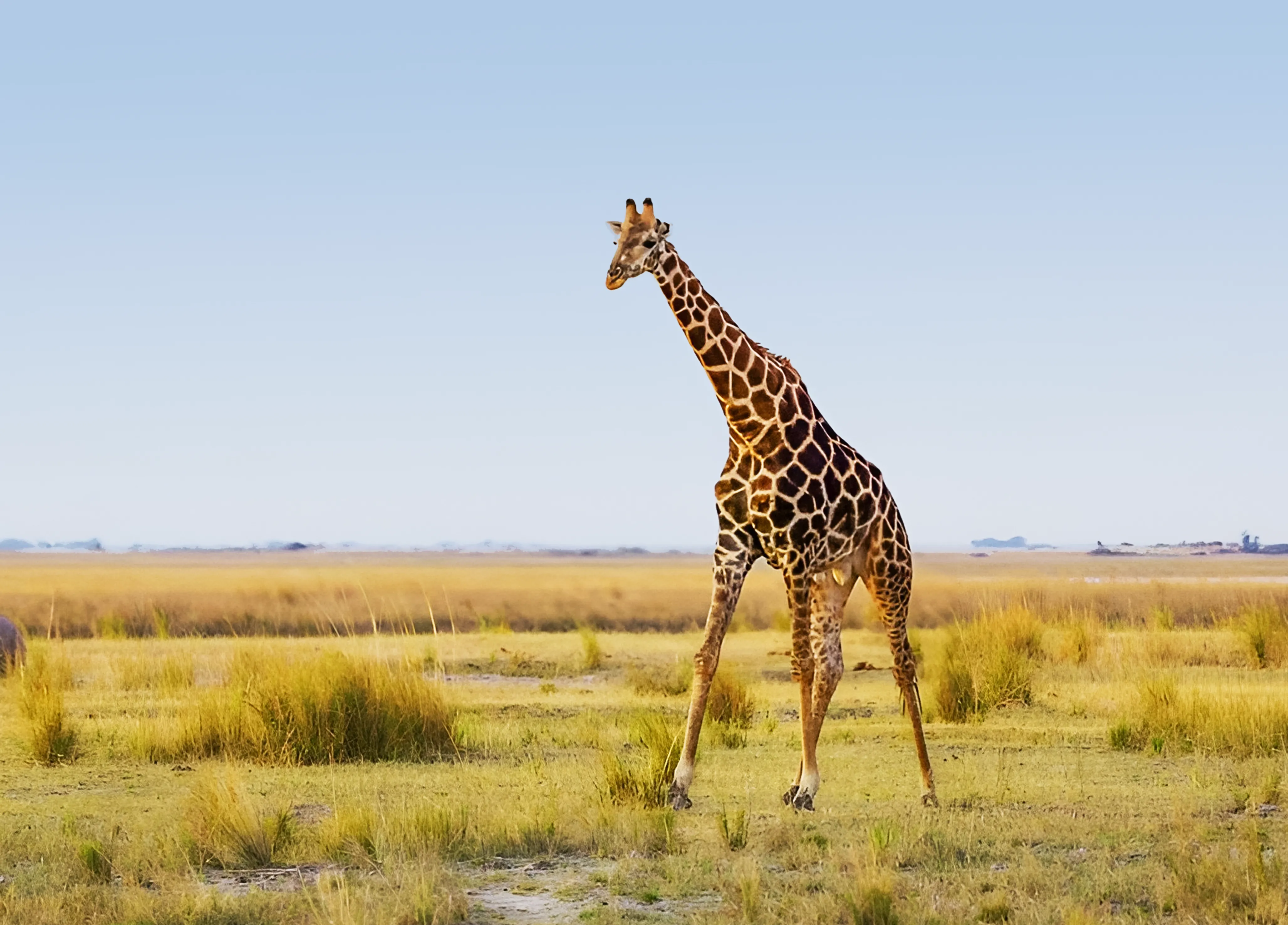 Things To Do In Tanzania