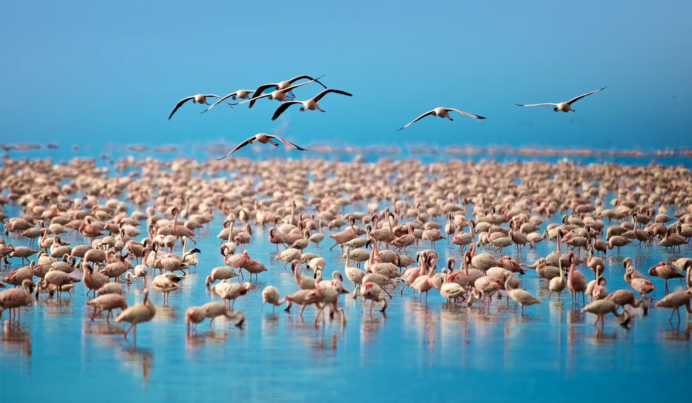 Things To Do In Tanzania
