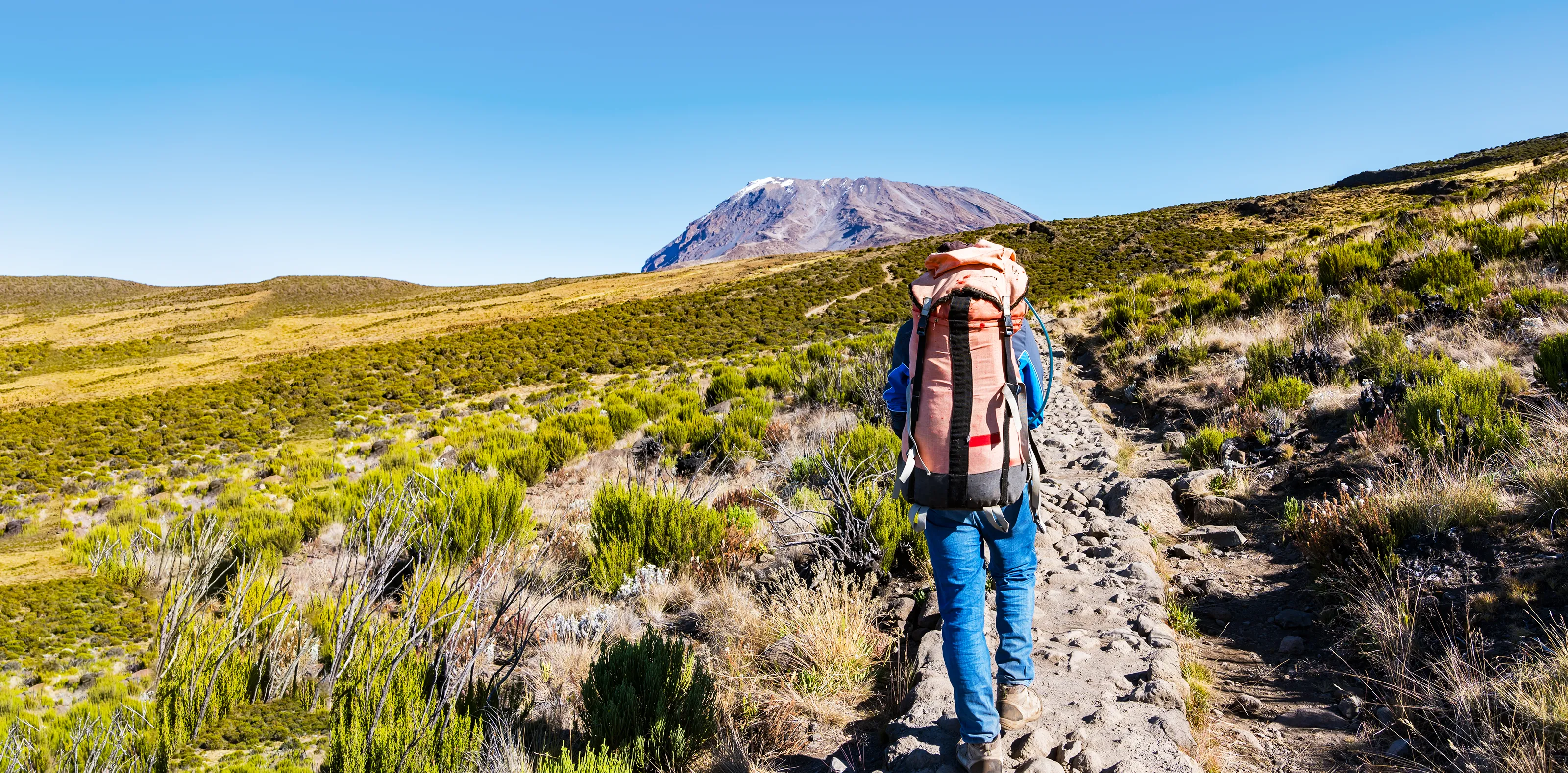 Typical Day On Kilimanjaro