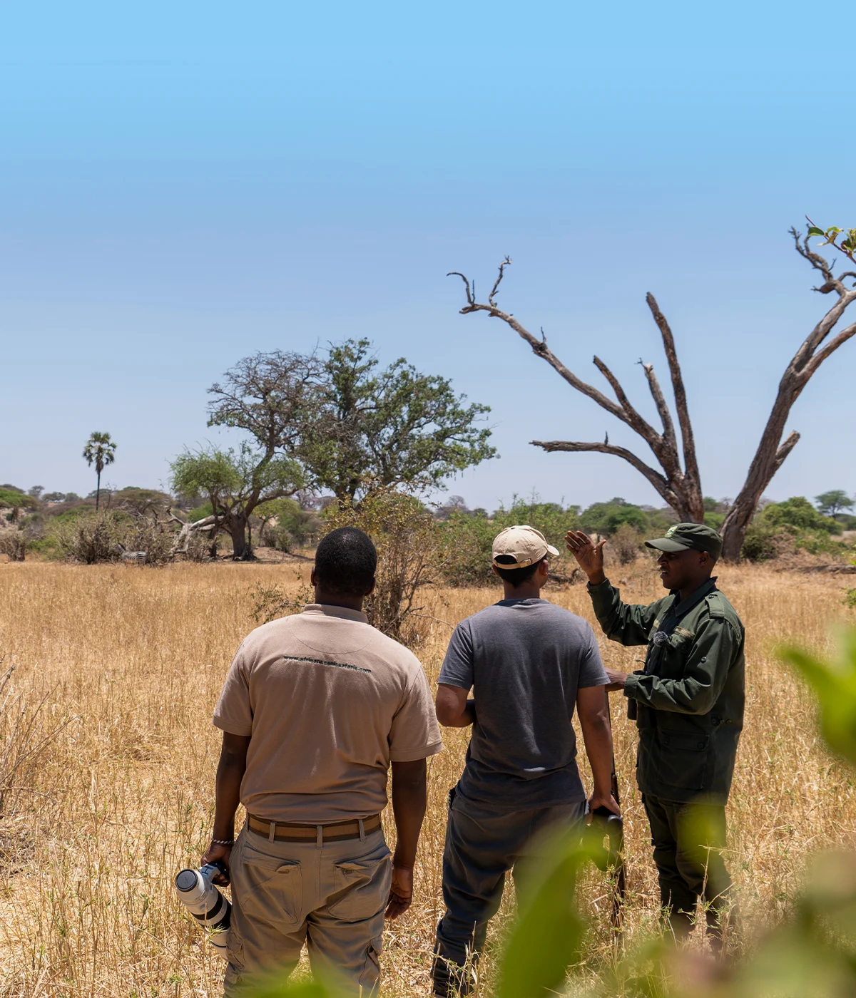 9 Days Western Tanzania Safari