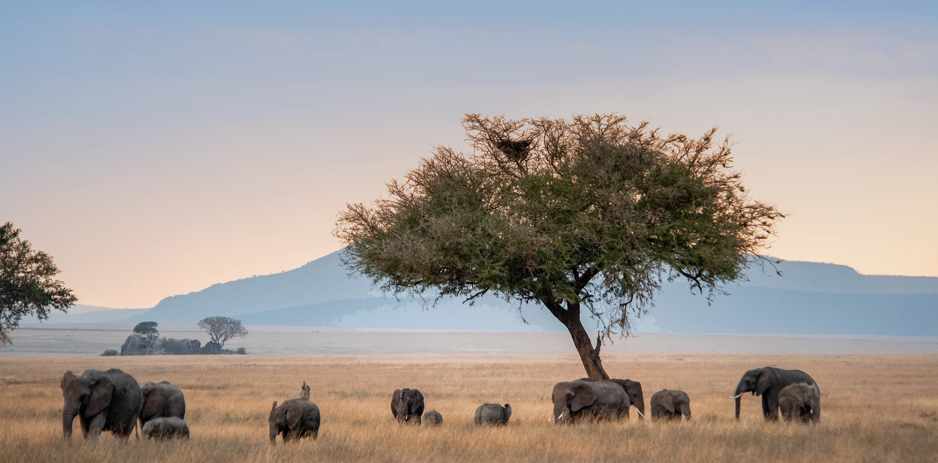 When To Visit Serengeti National Park