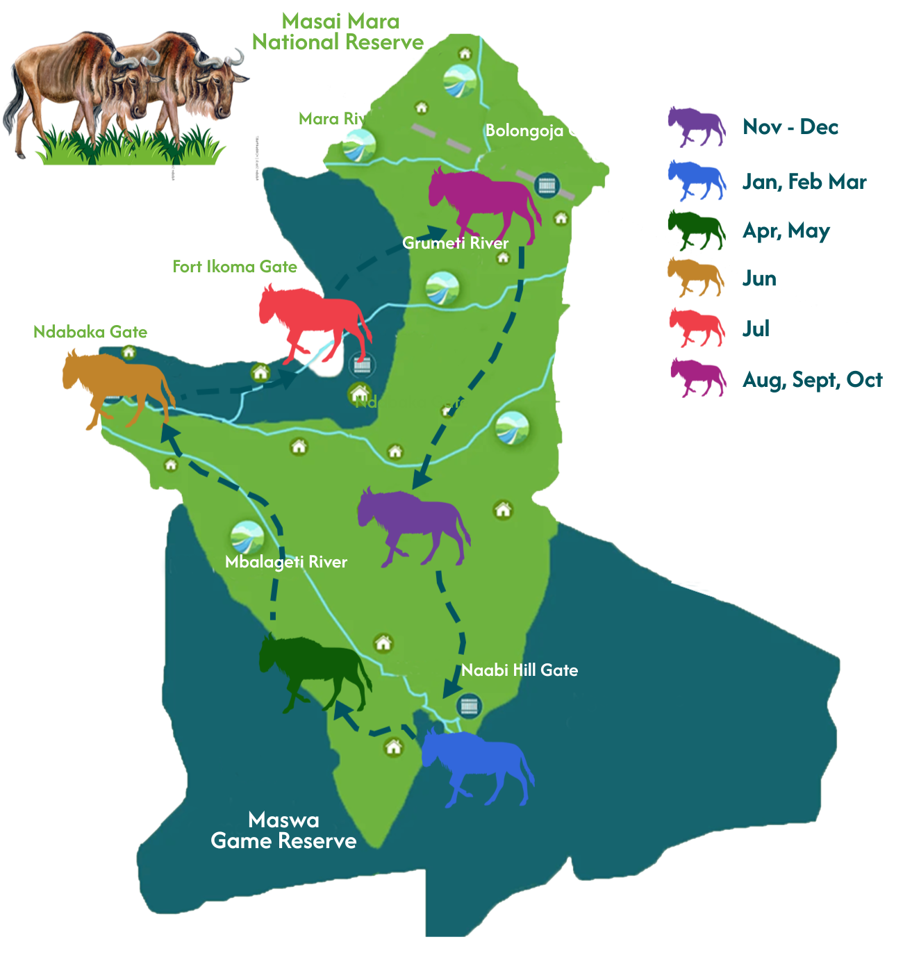 Wildebeest Migration Facts