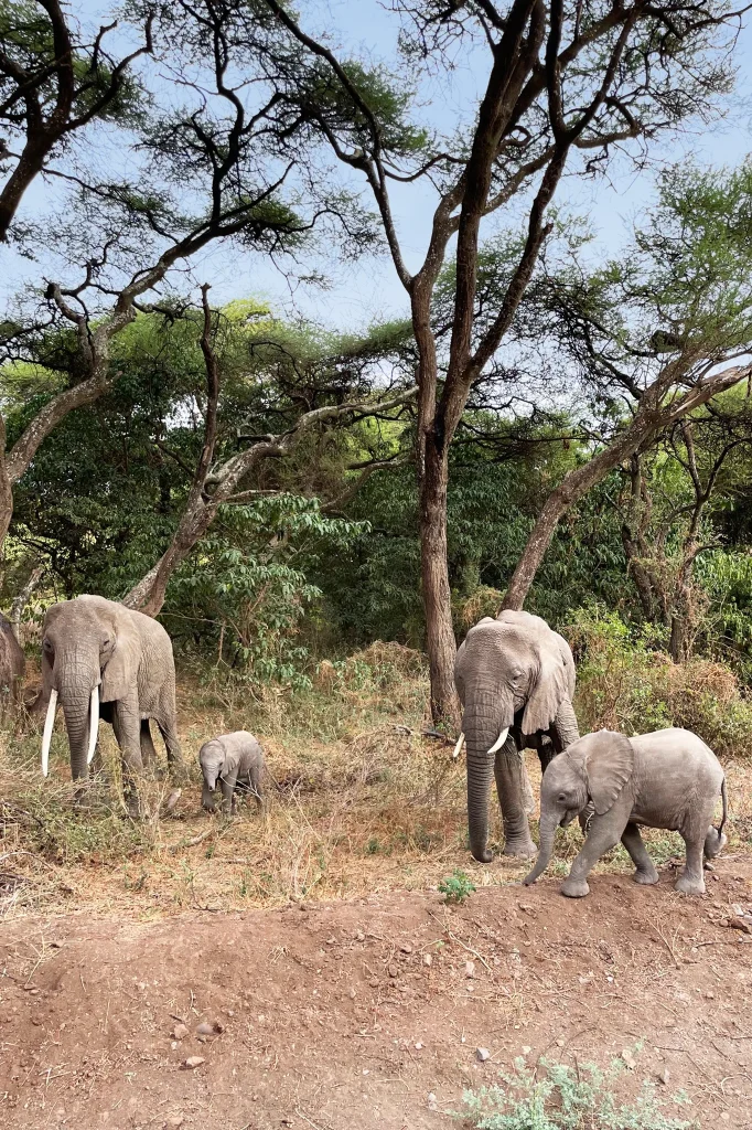 Conservation During