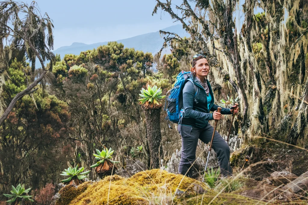 Kilimanjaro Trek