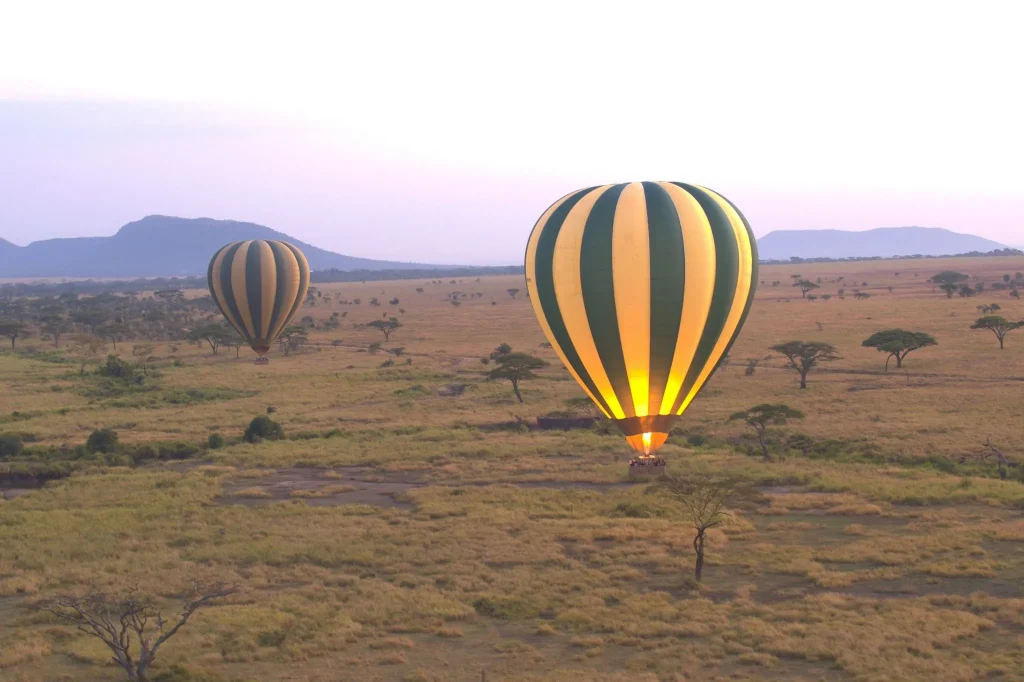 Hot Air Balloon Safari