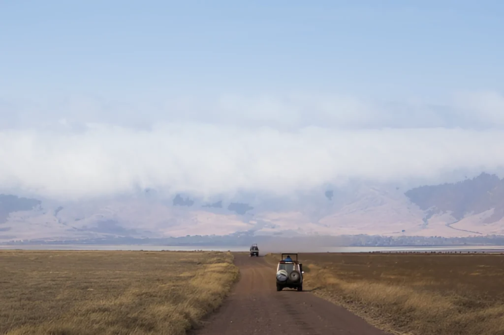 Tanzania Safari Packages